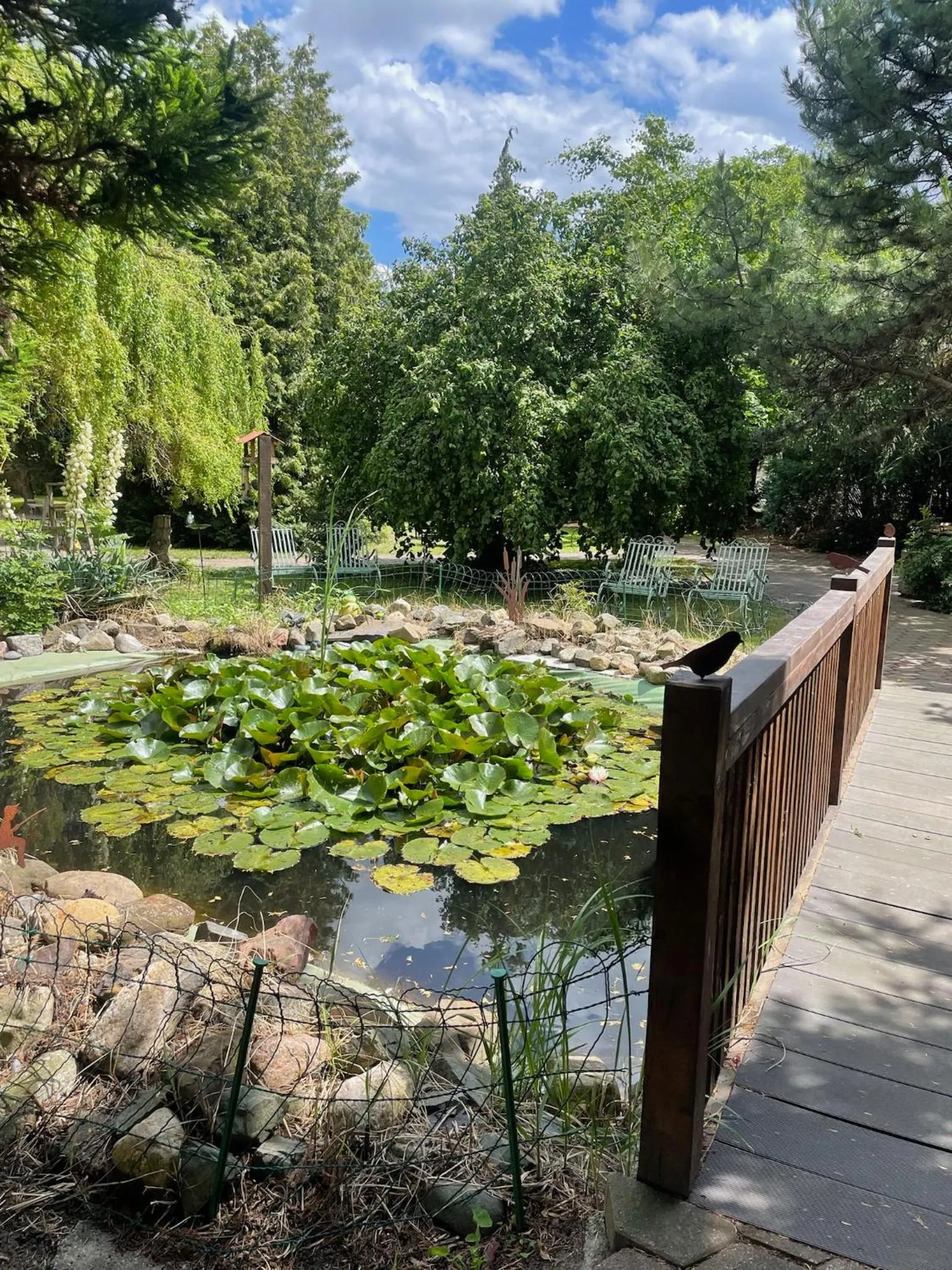 Harzhotel Warnstedter Krug