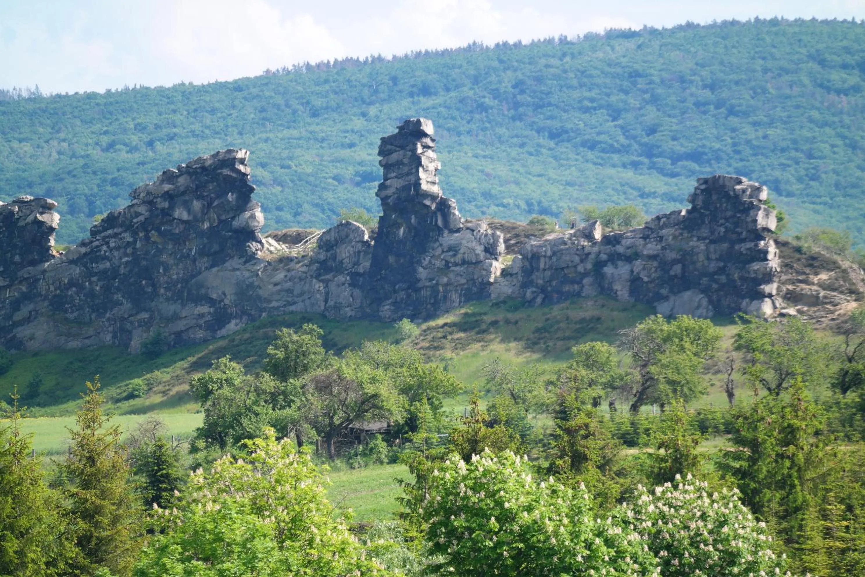 Nearby landmark in Harzhotel Warnstedter Krug