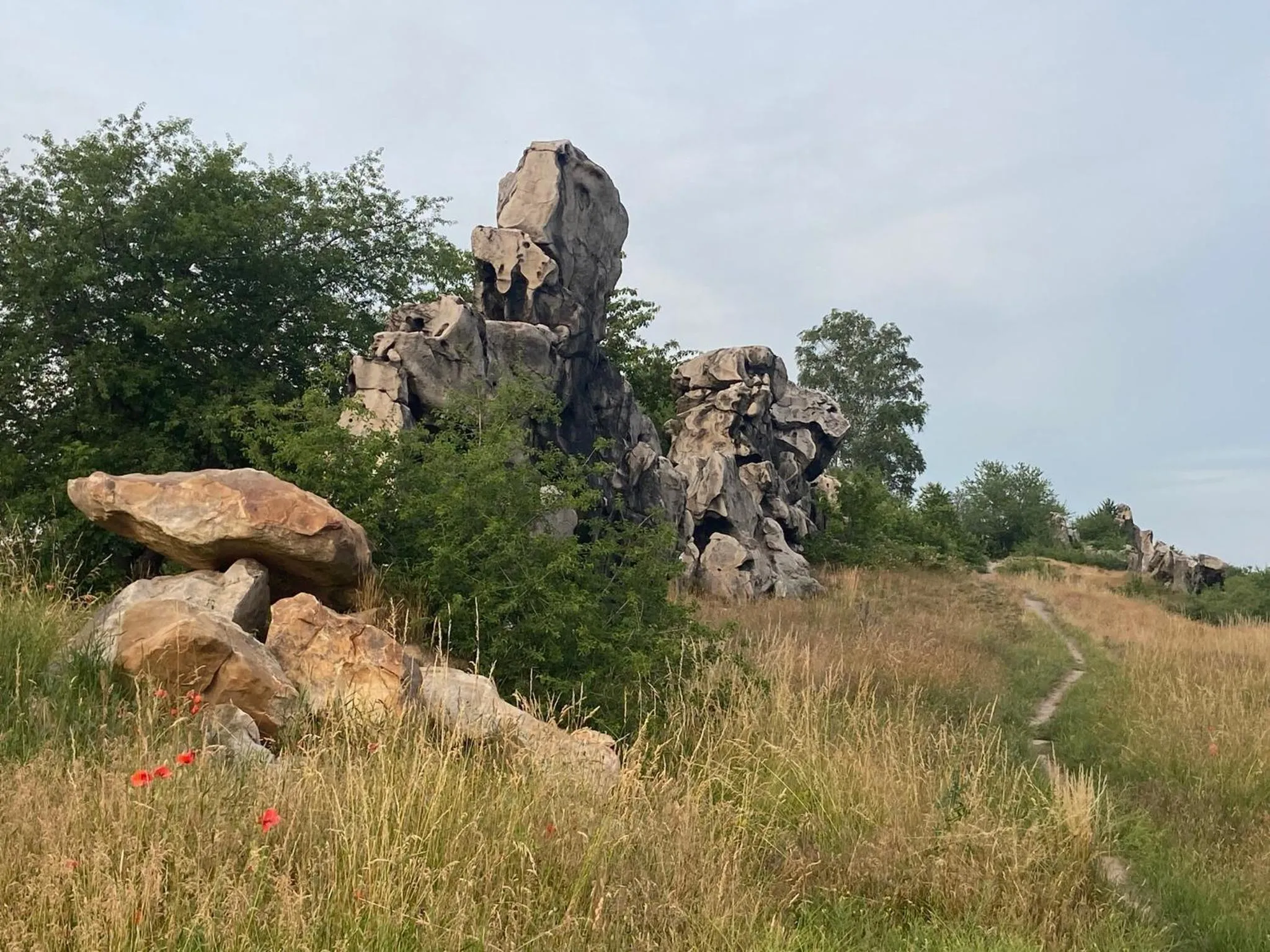 Nearby landmark in Harzhotel Warnstedter Krug