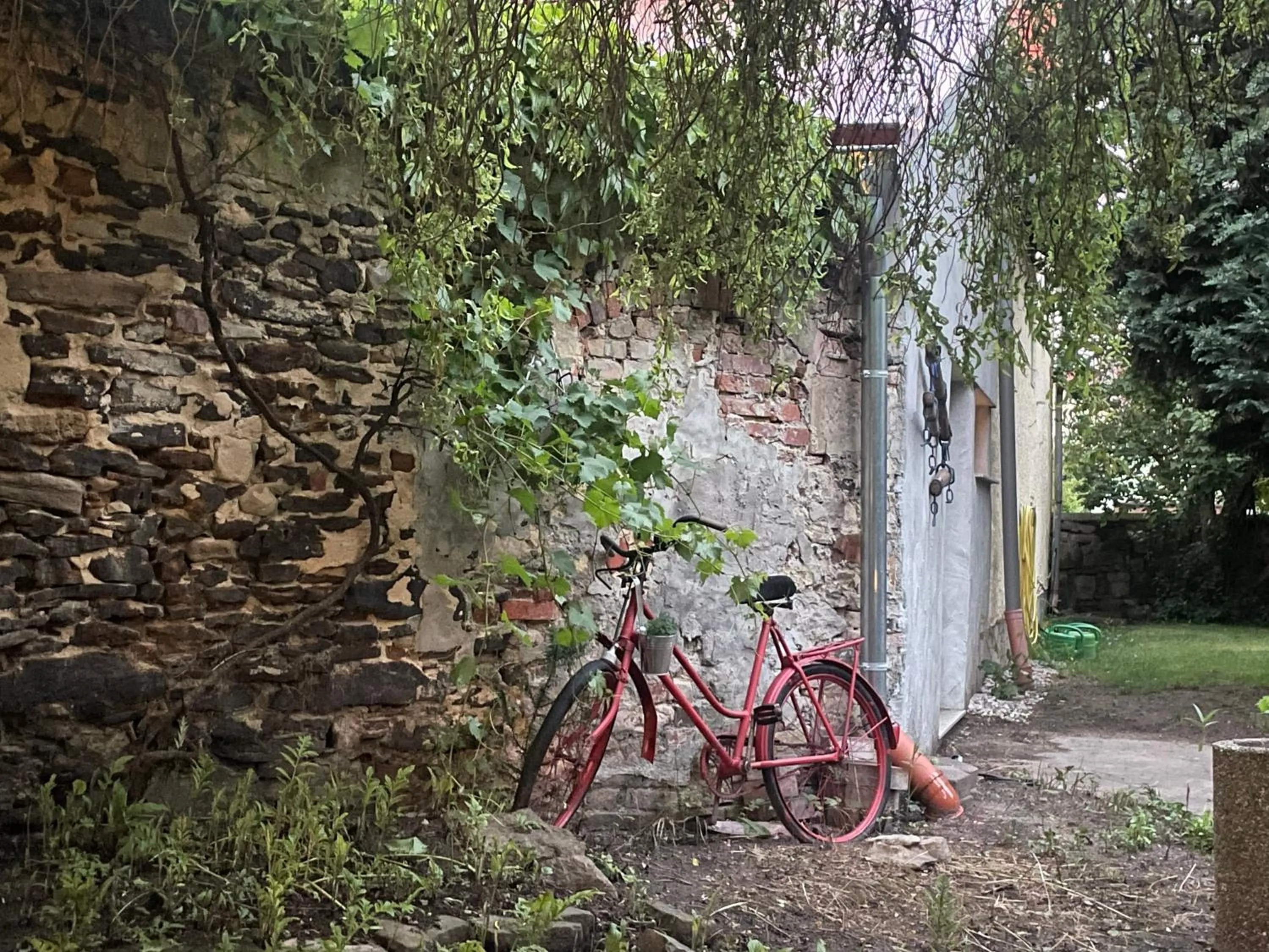 Garden in Harzhotel Warnstedter Krug