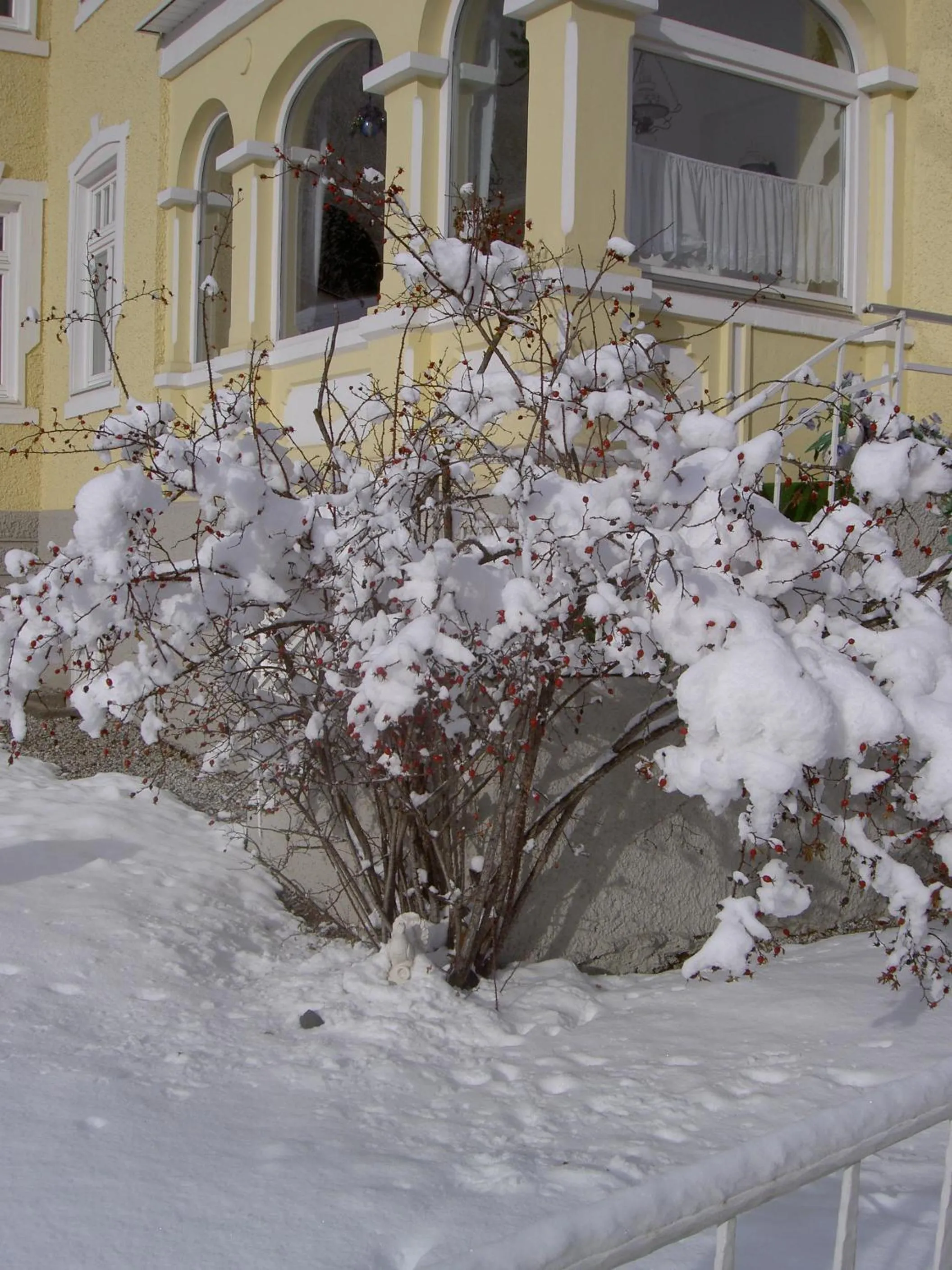 Facade/entrance in Hotel Garni Hubertus-Nostalgie & Charme