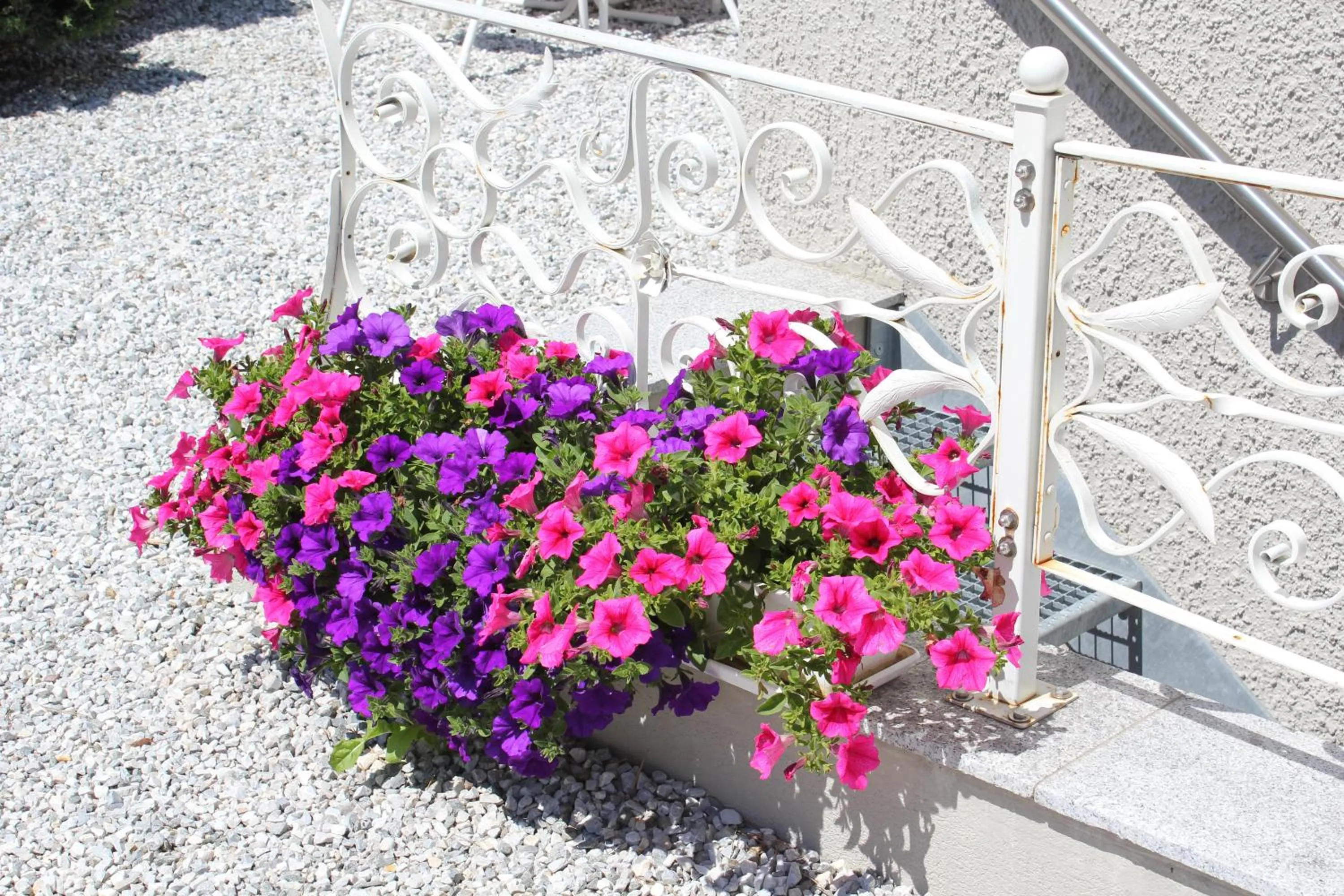 Other in Hotel Garni Hubertus-Nostalgie & Charme