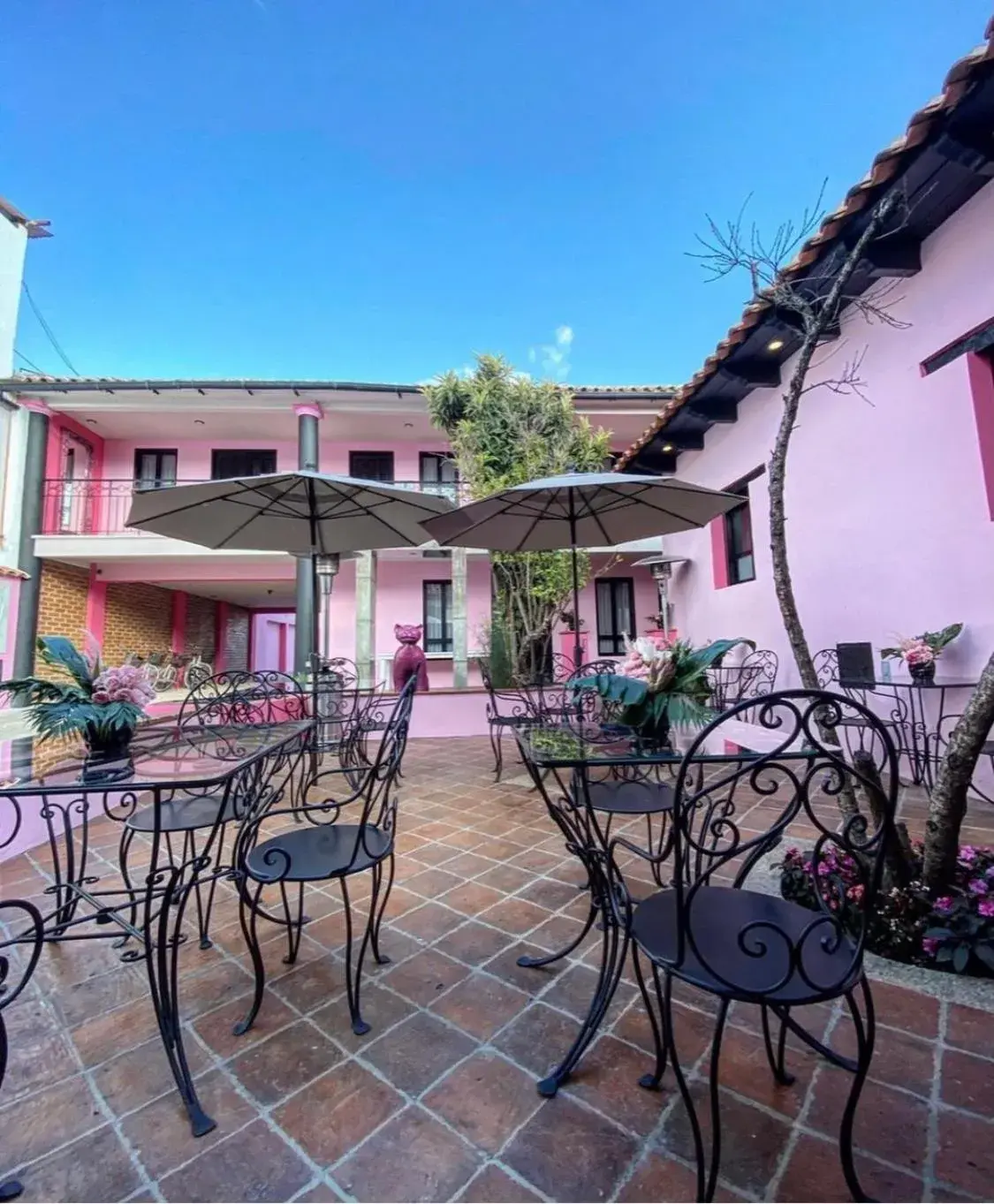 Casa Rosa Hotel & Spa Casa Rosa Hotel & Spa