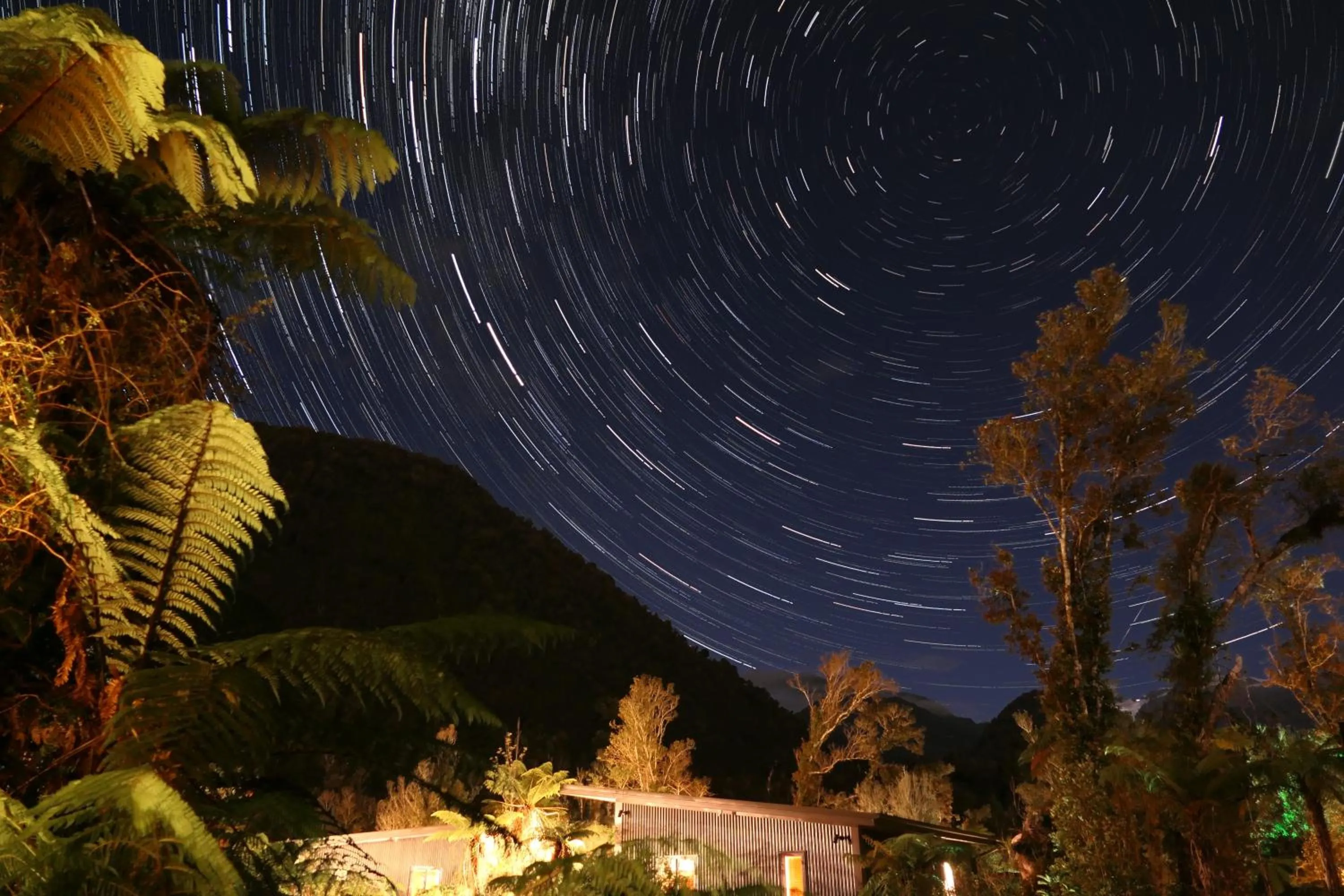 Night in Rainforest Deluxe