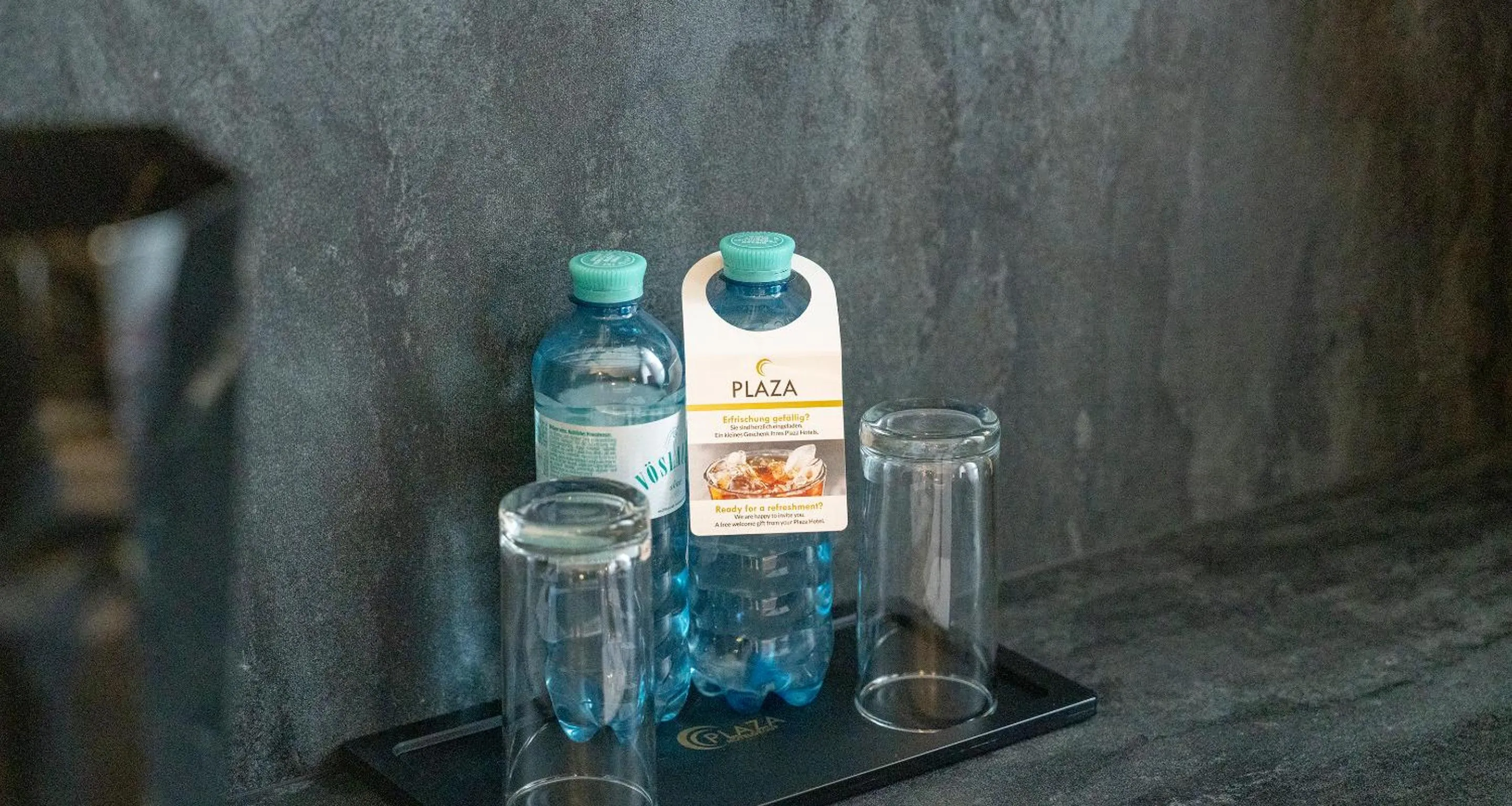 Decorative detail in PLAZA INN Salzburg City