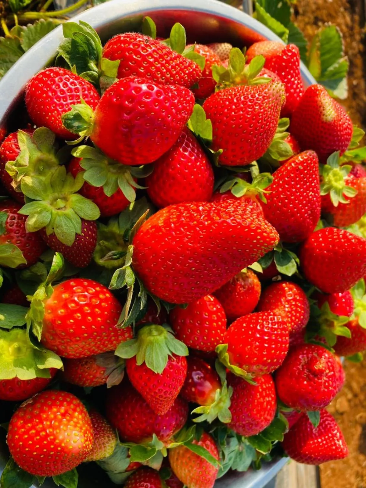 Food in Heavens Edge Resort