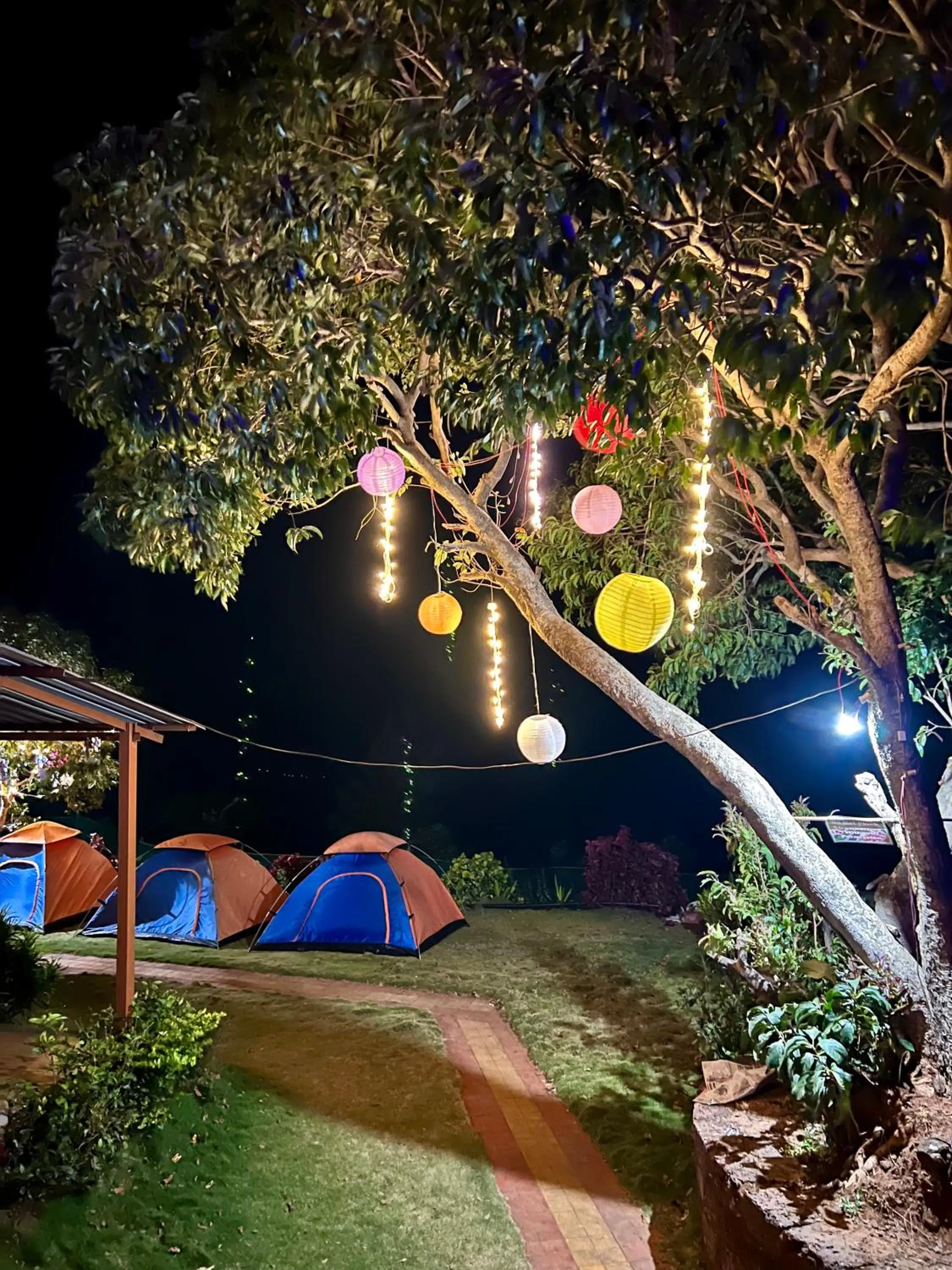 Night in Heavens Edge Resort