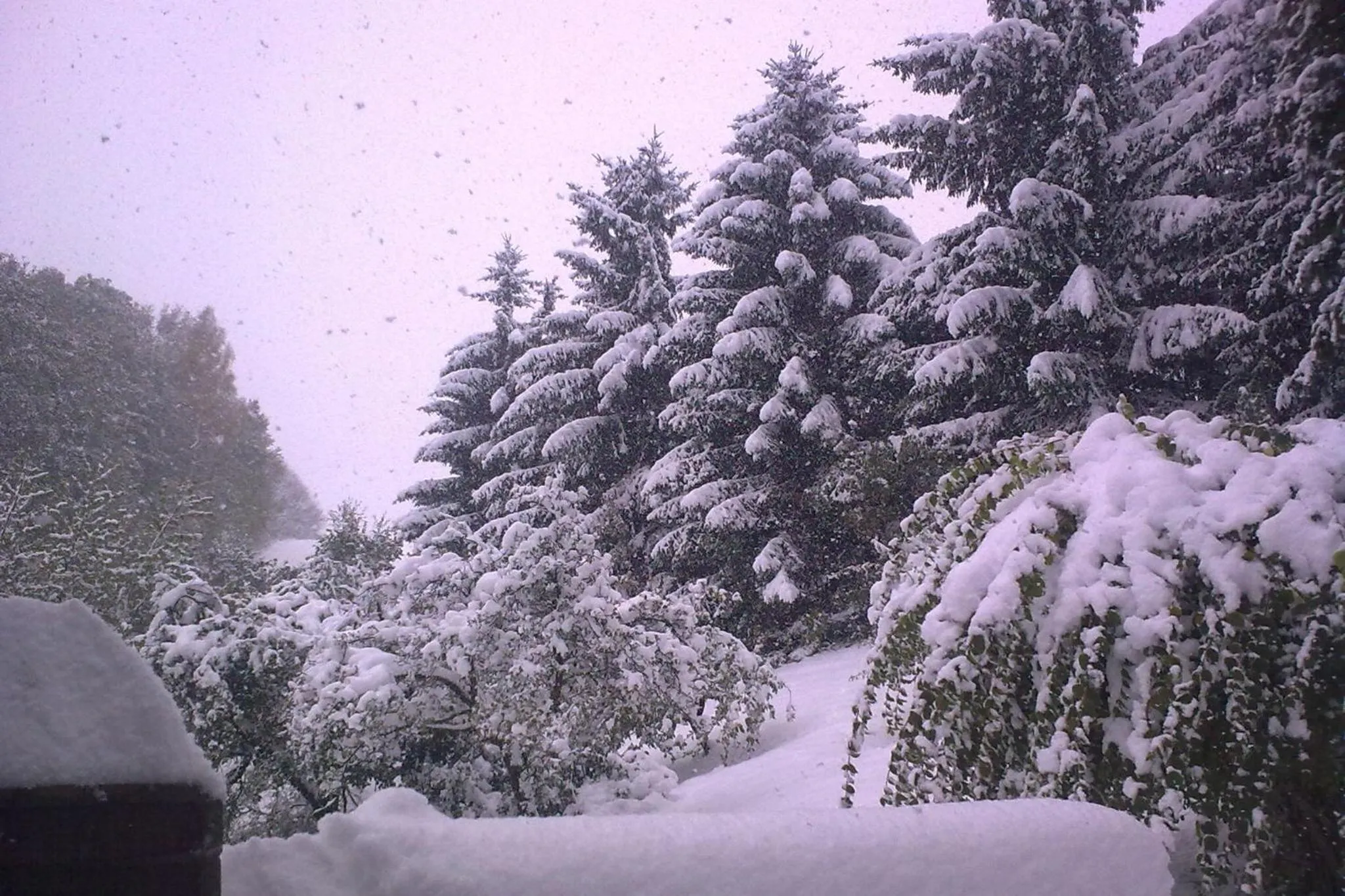 Winter in Edy Dum