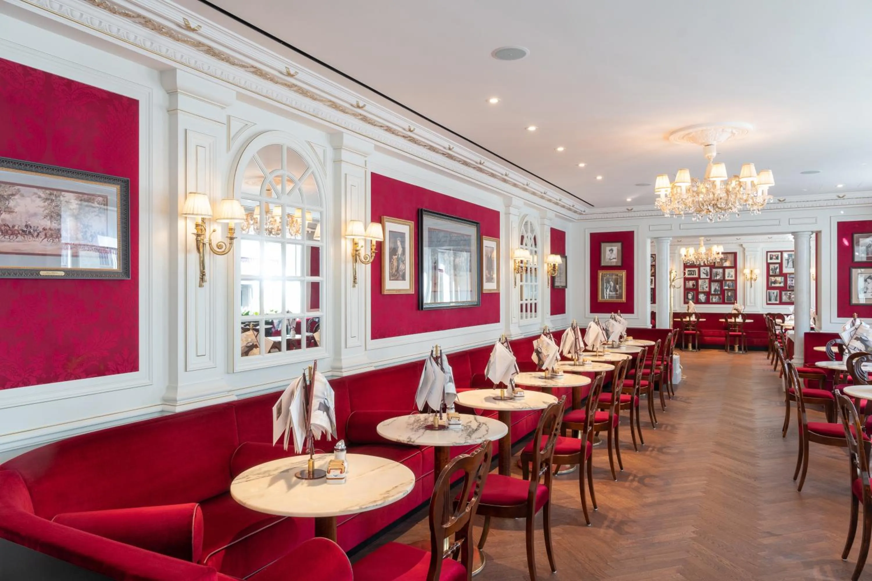 Restaurant/places to eat in Hotel Sacher Salzburg