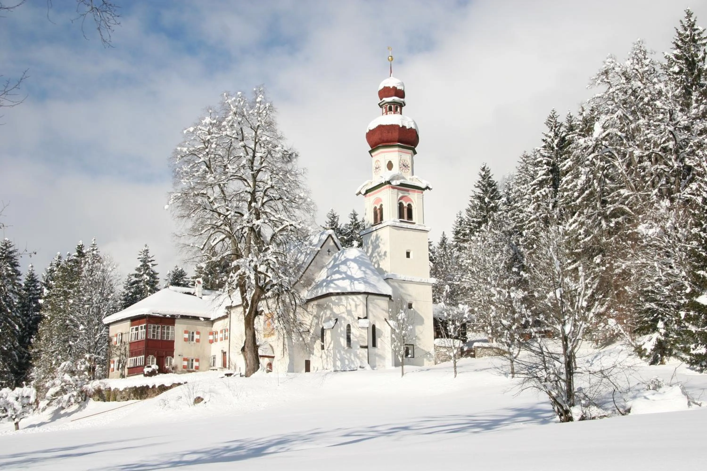 Area and facilities in Alpenhotel Speckbacher Hof