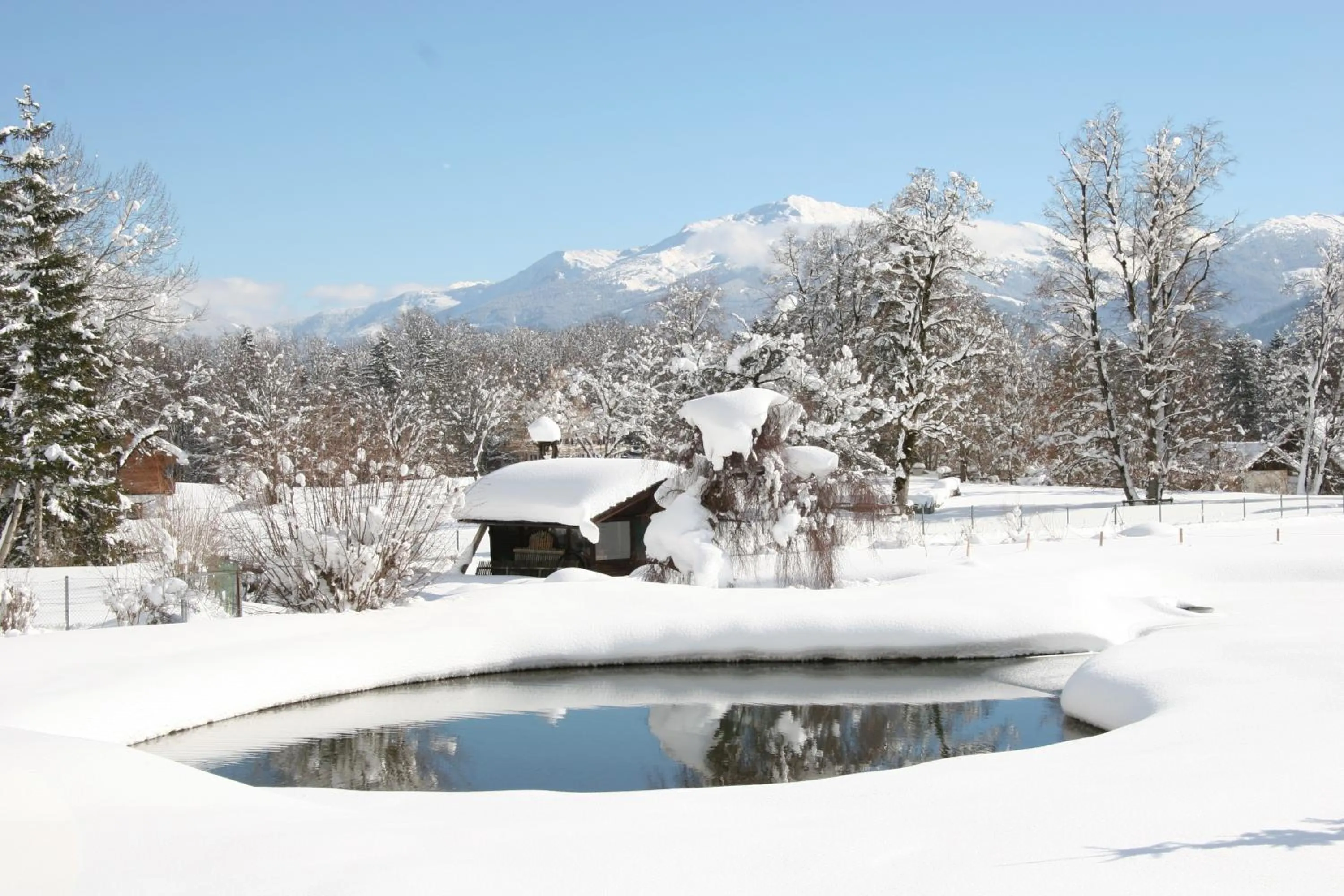Area and facilities in Alpenhotel Speckbacher Hof