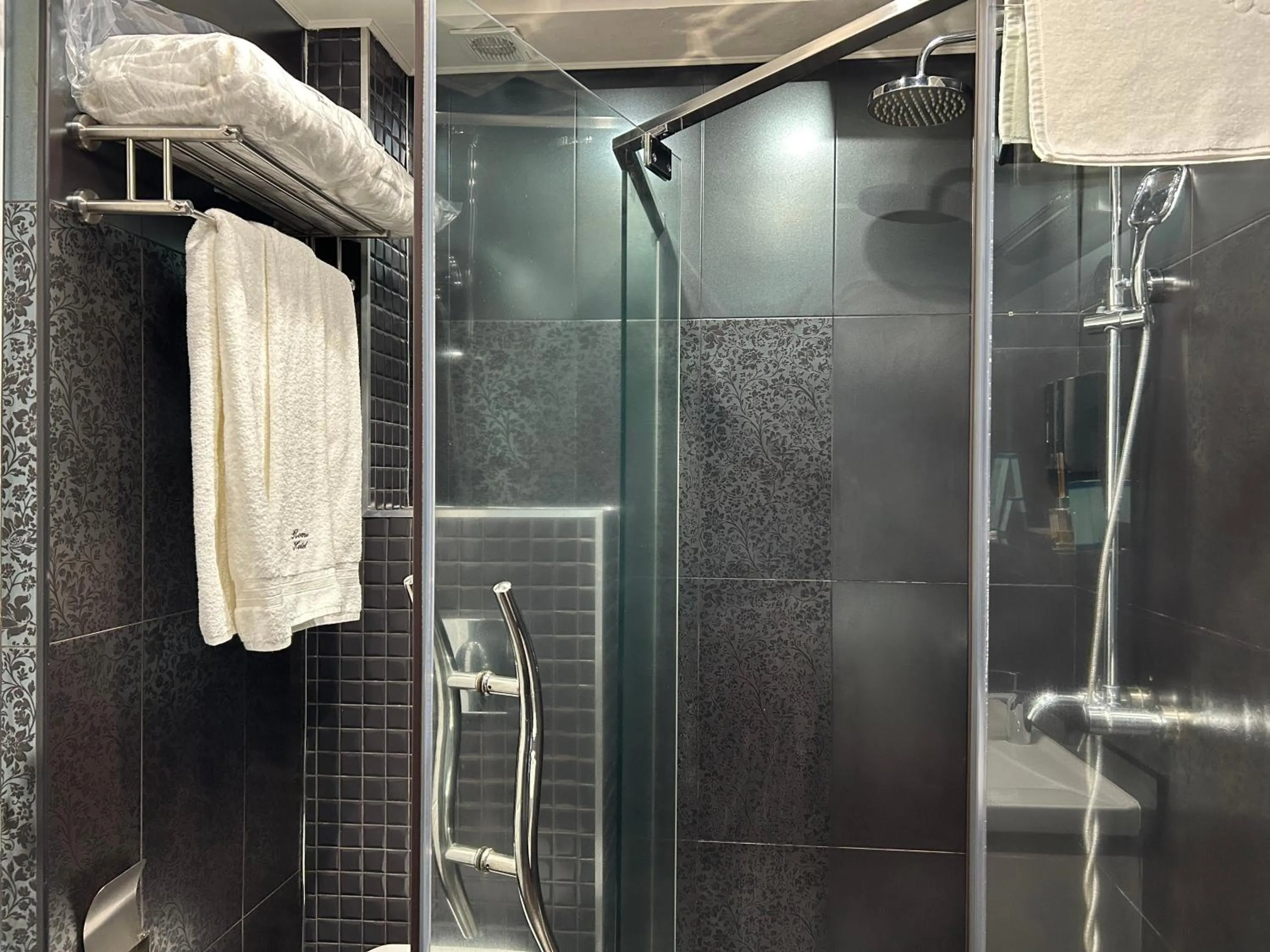 Shower in Hotel Roma & Tours