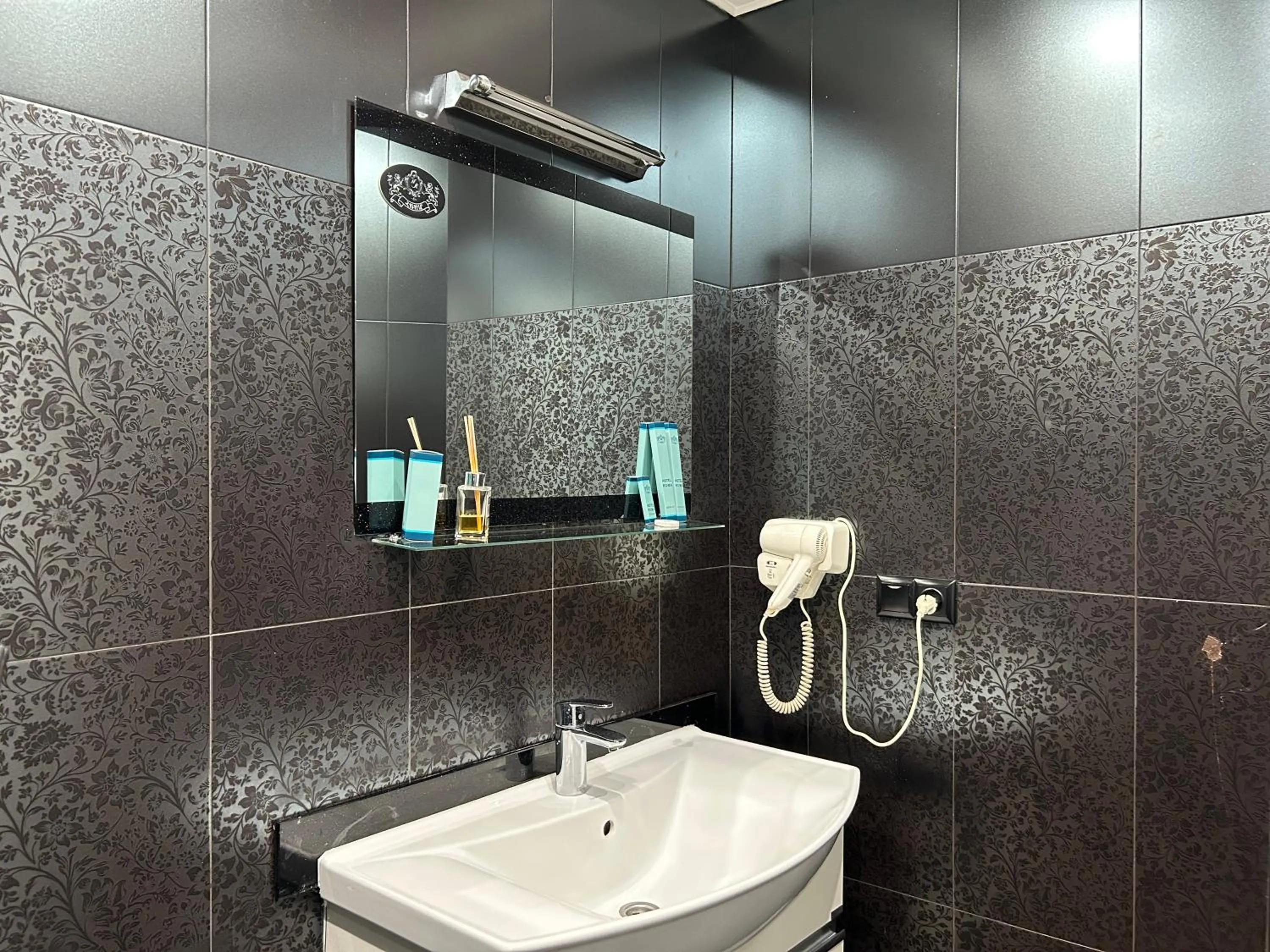 Shower in Hotel Roma & Tours