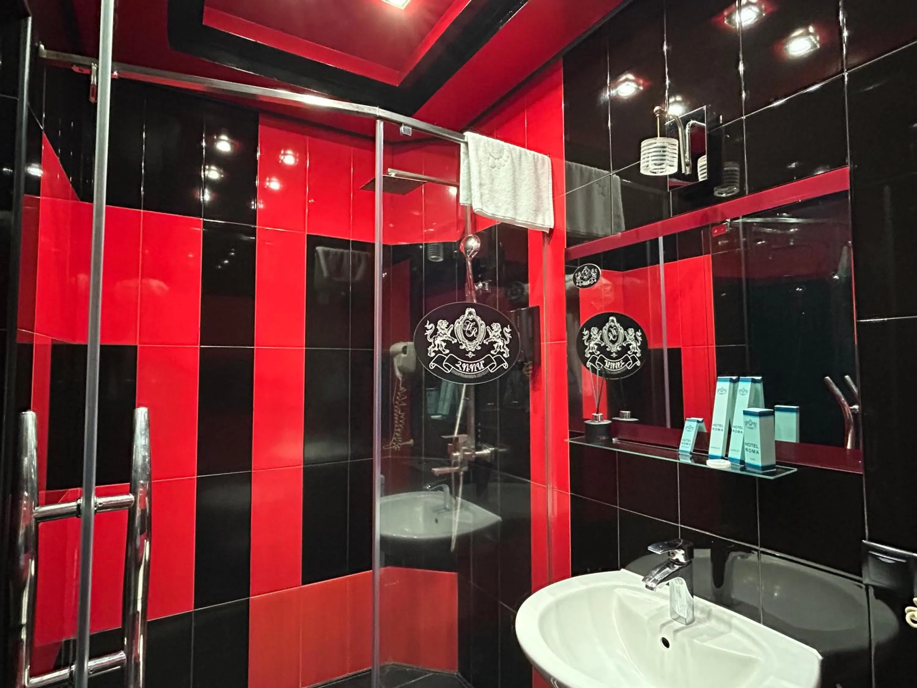 Shower in Hotel Roma & Tours