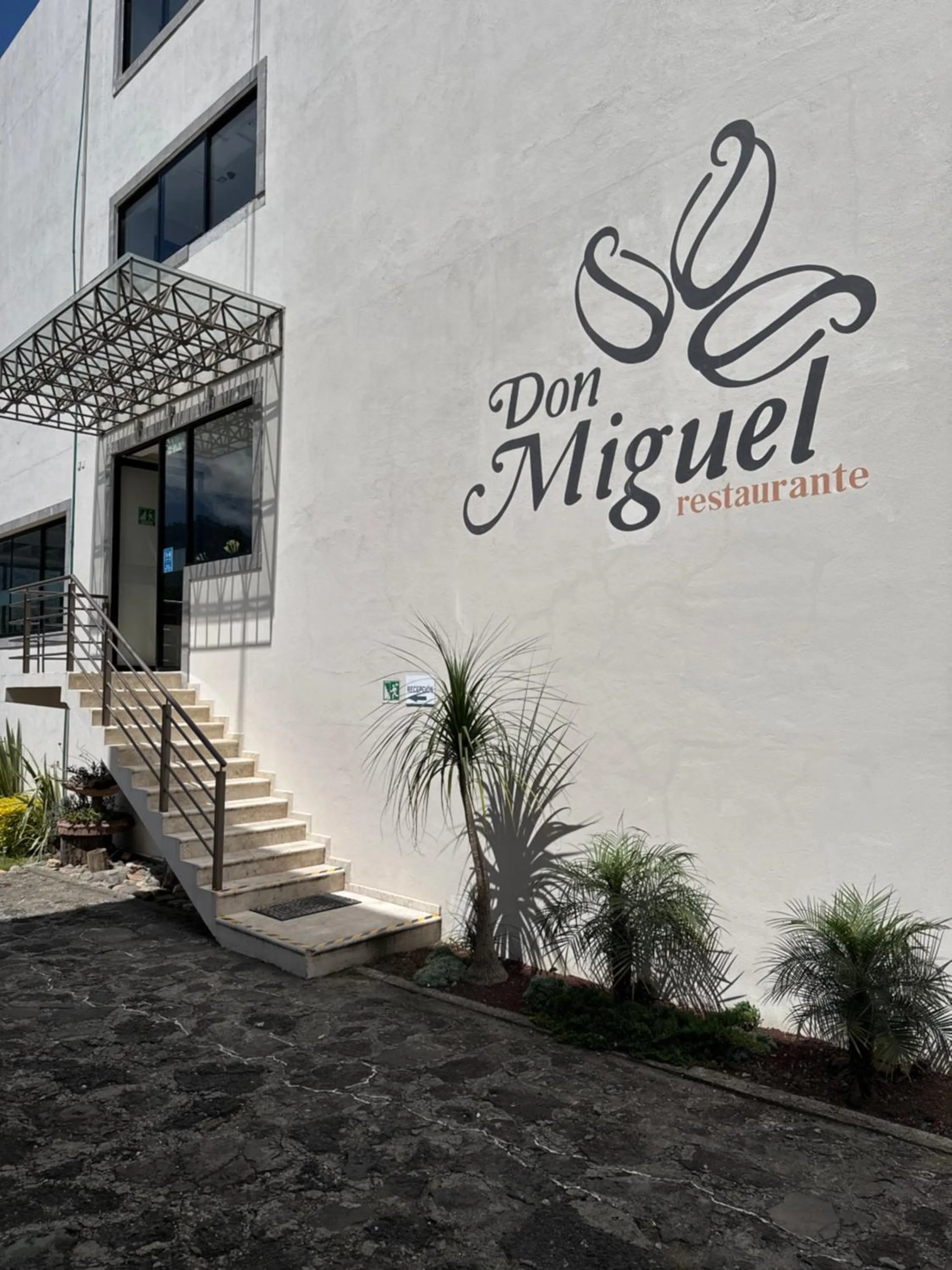 Hotel Suites Don Miguel