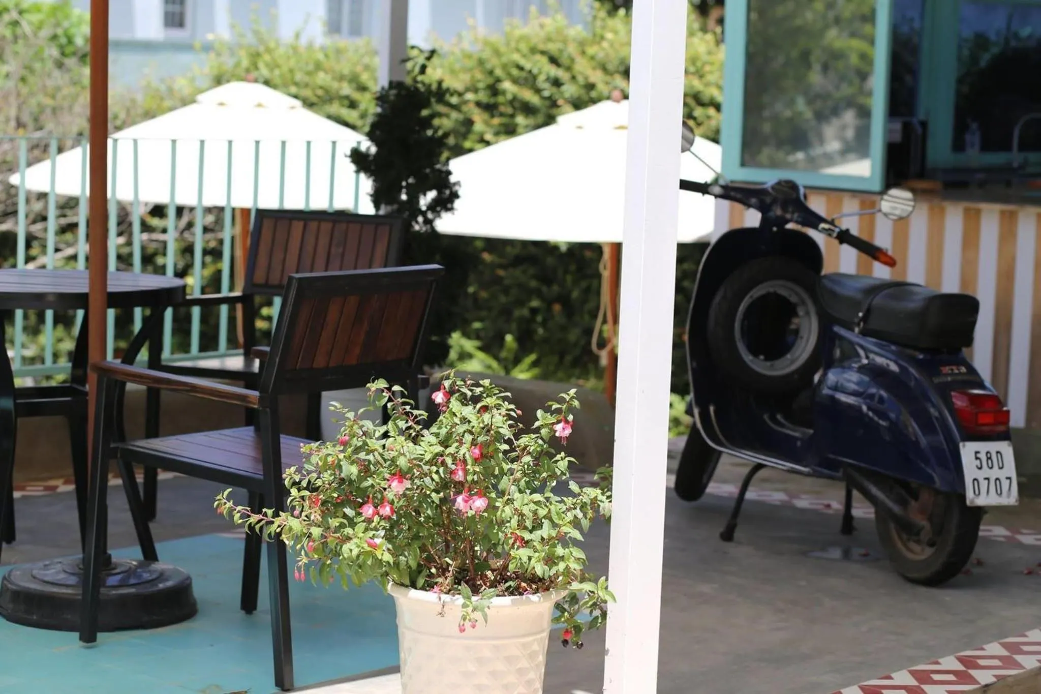 Garden view in The Scent Boutique Dalat Hotel