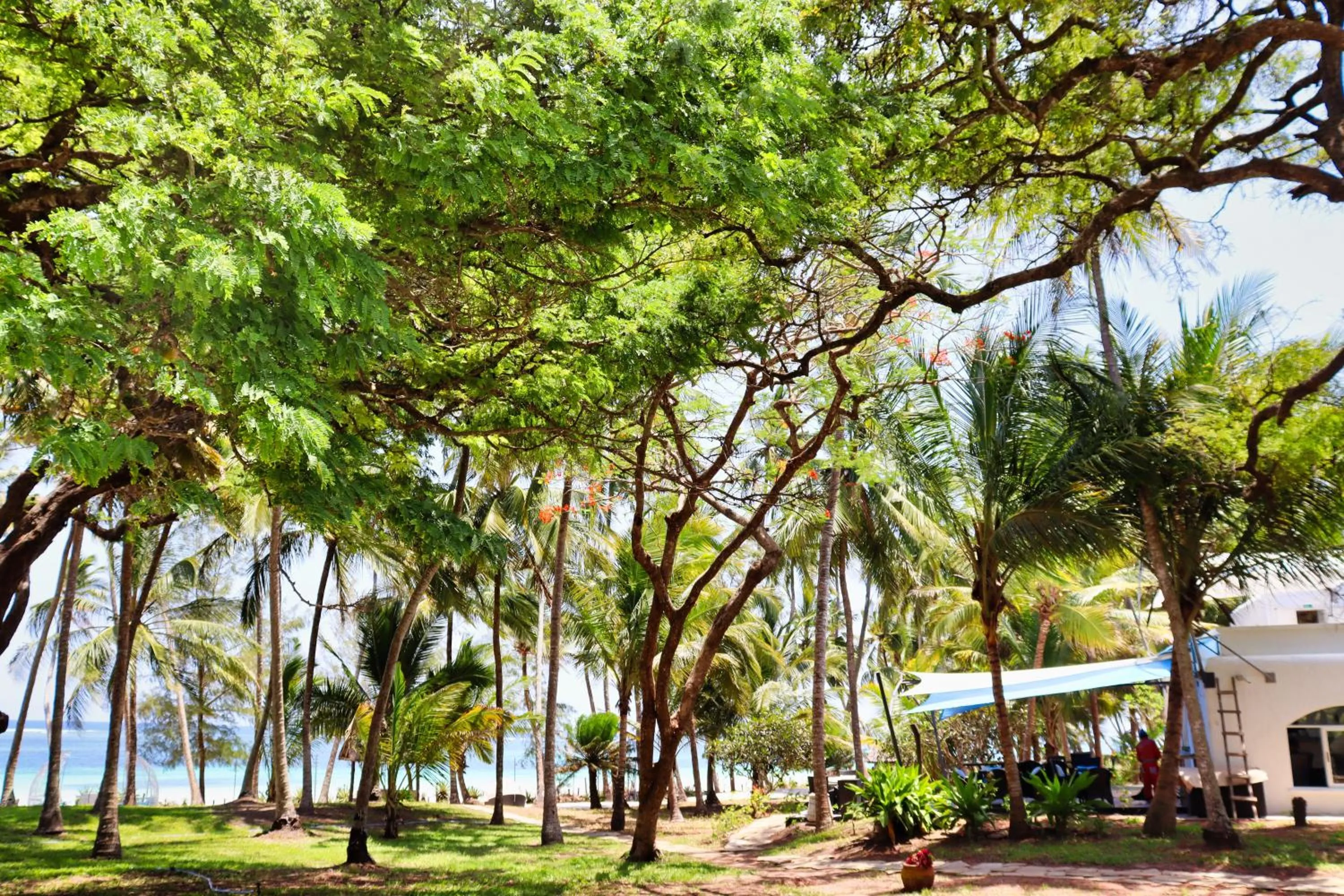 Searenity Beach Villa