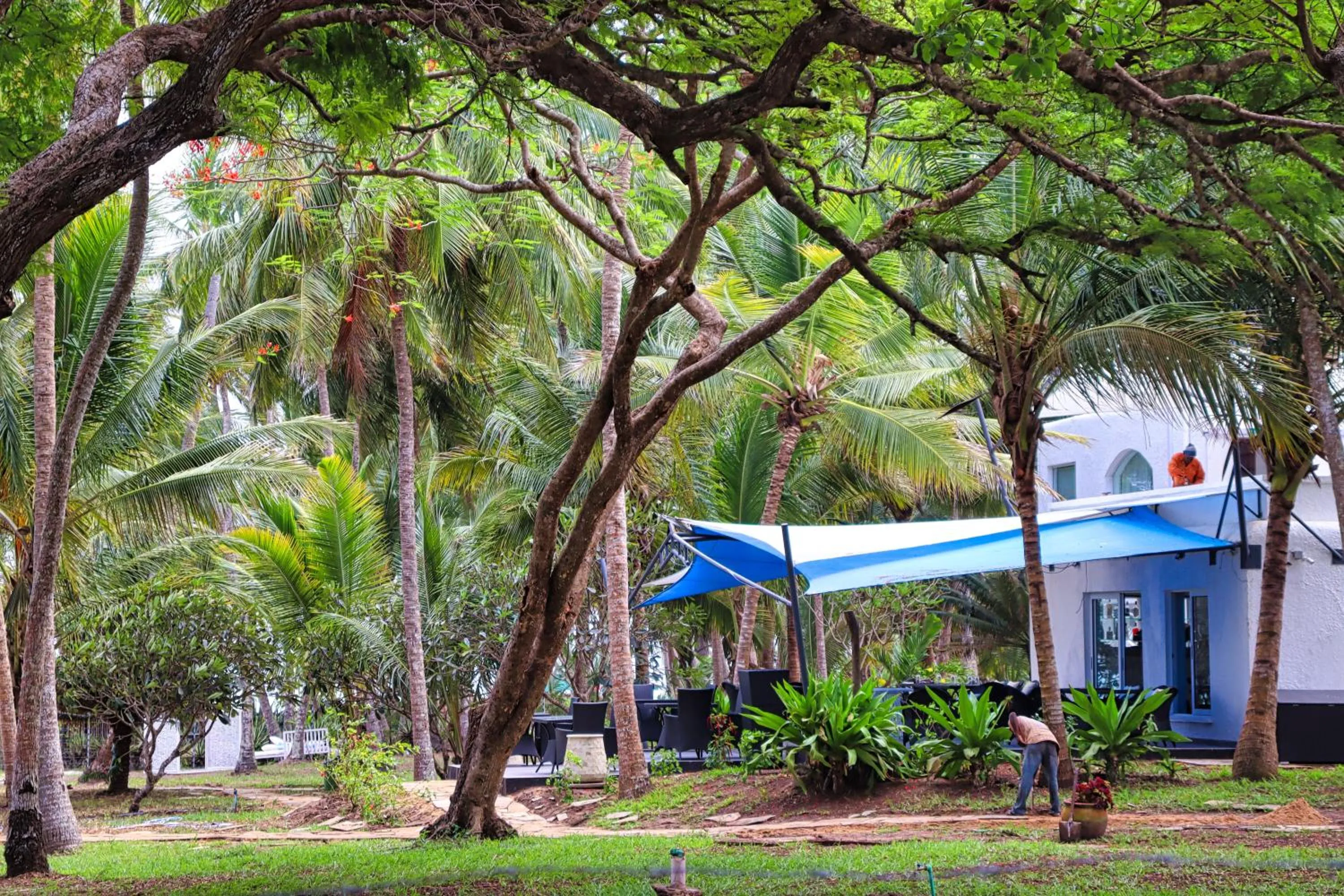 Garden in Searenity Beach Villa