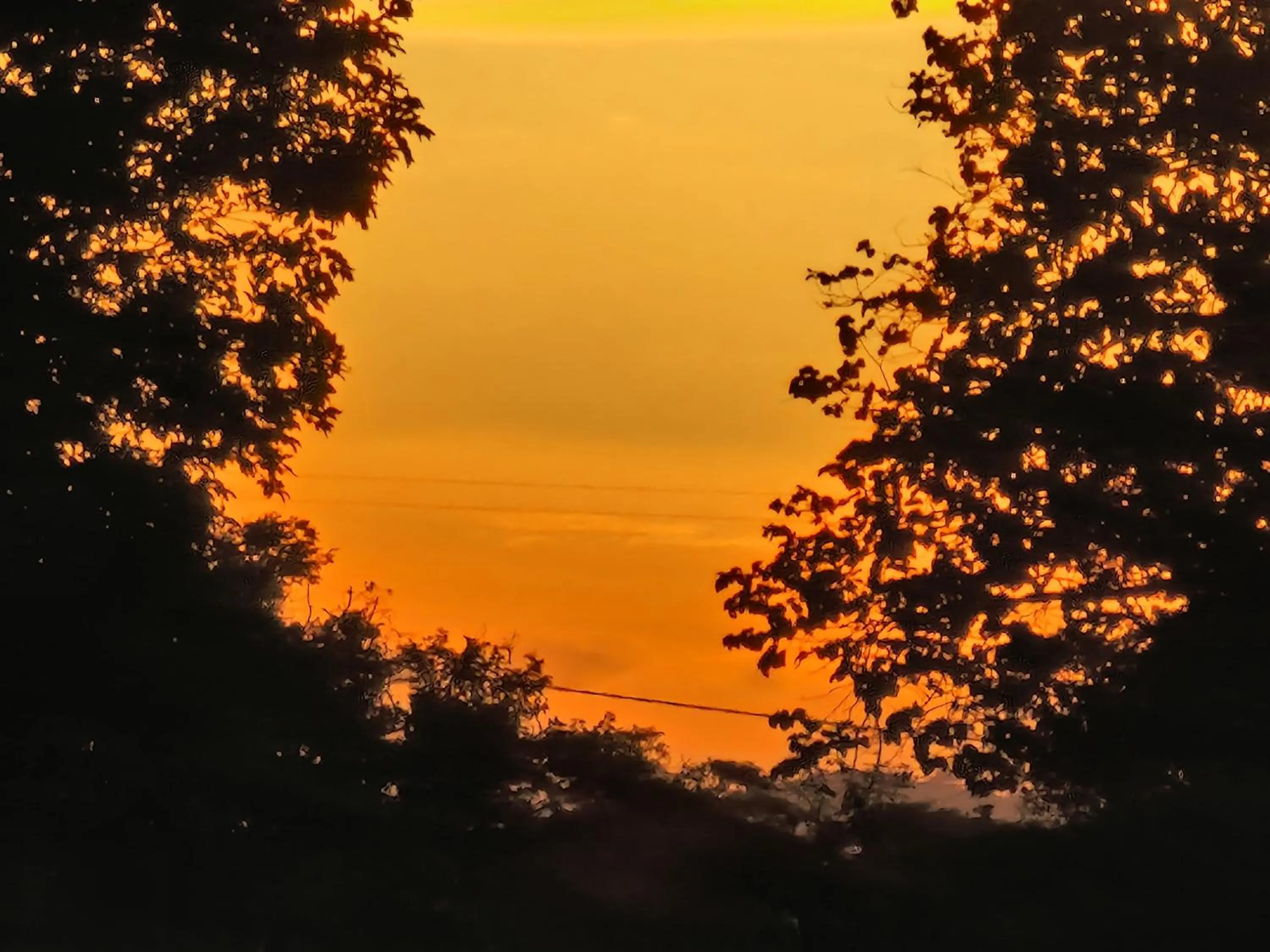 Sunset in Birdwing Sigiriya