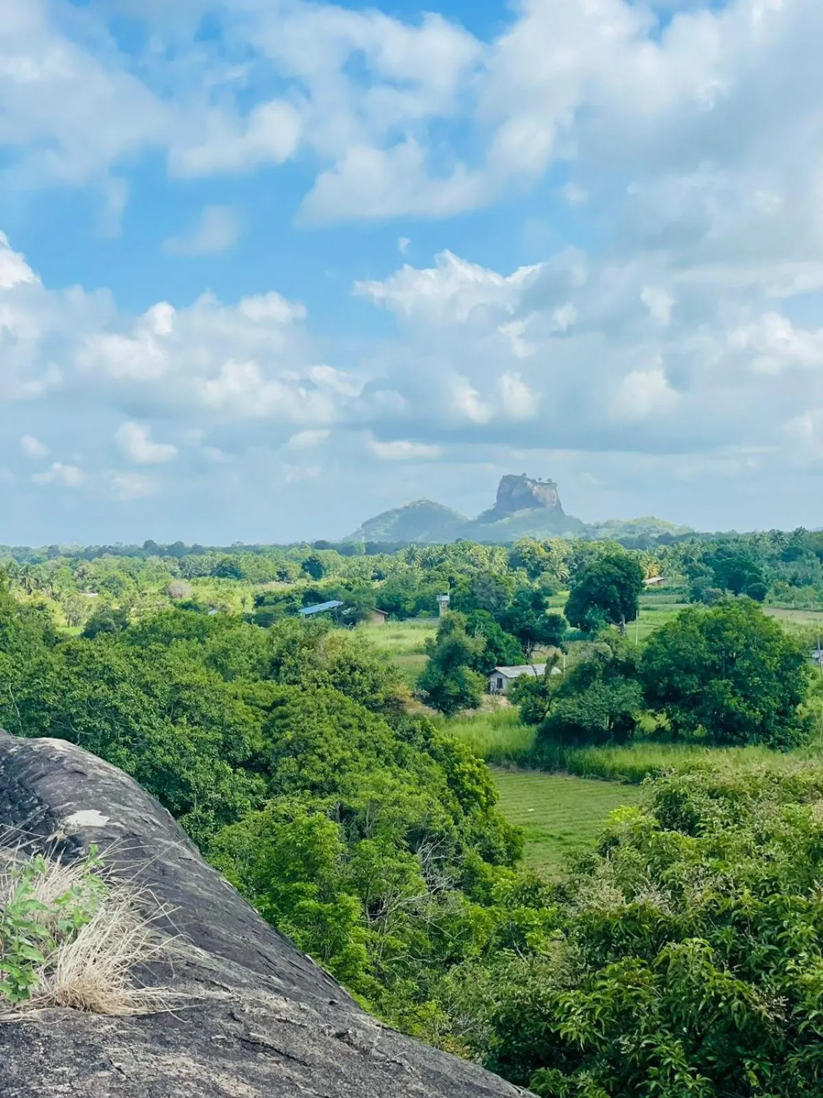 Property building in Birdwing Sigiriya