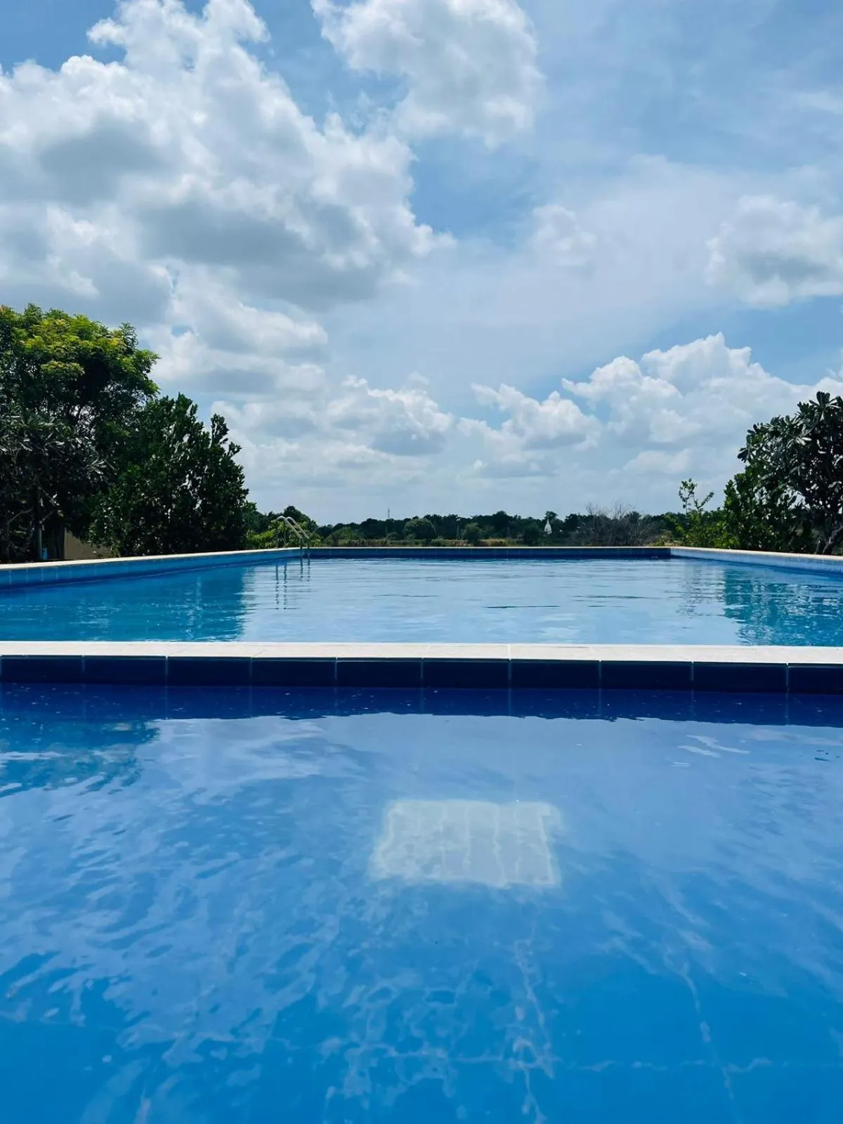 Swimming pool in Birdwing Sigiriya
