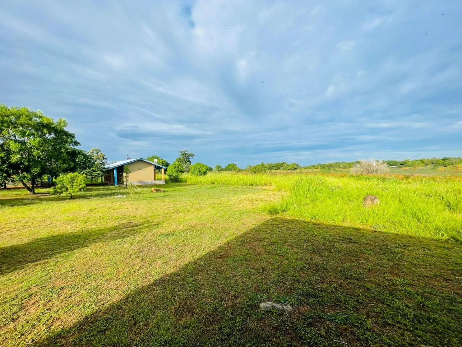 Property building in Birdwing Sigiriya