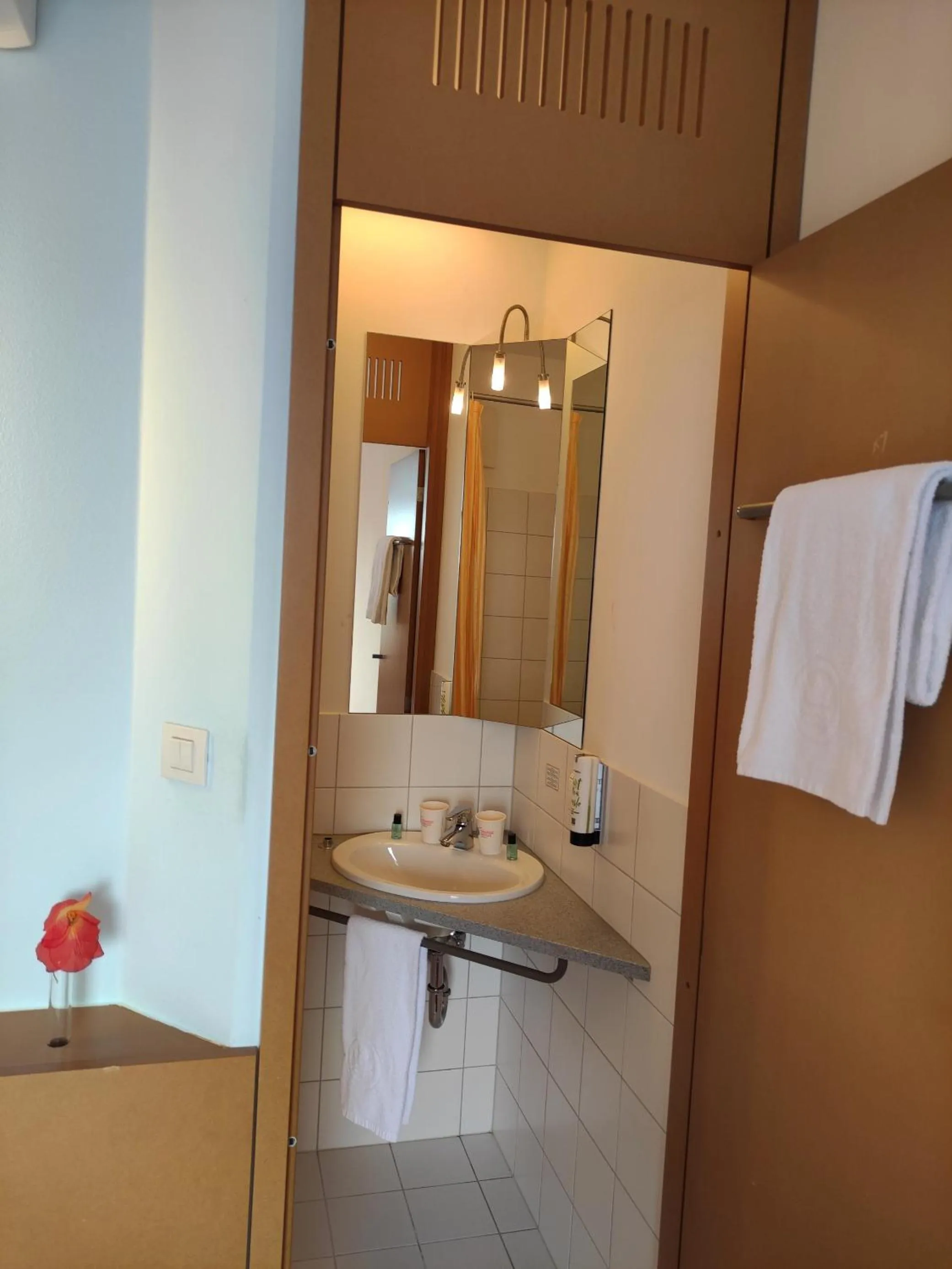 Decorative detail in Orange Wings Wiener Neustadt