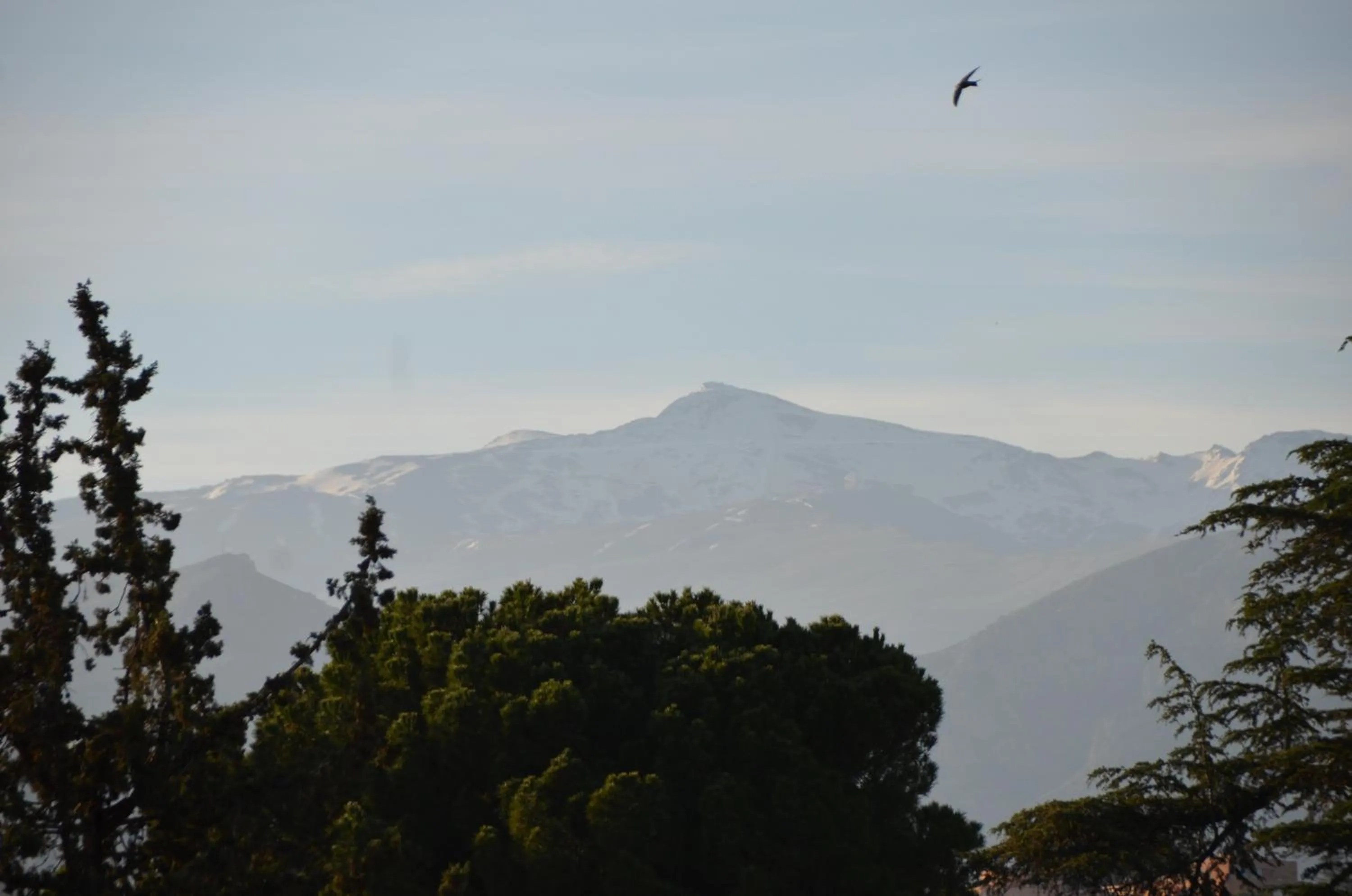 Day in La Corrala del Realejo