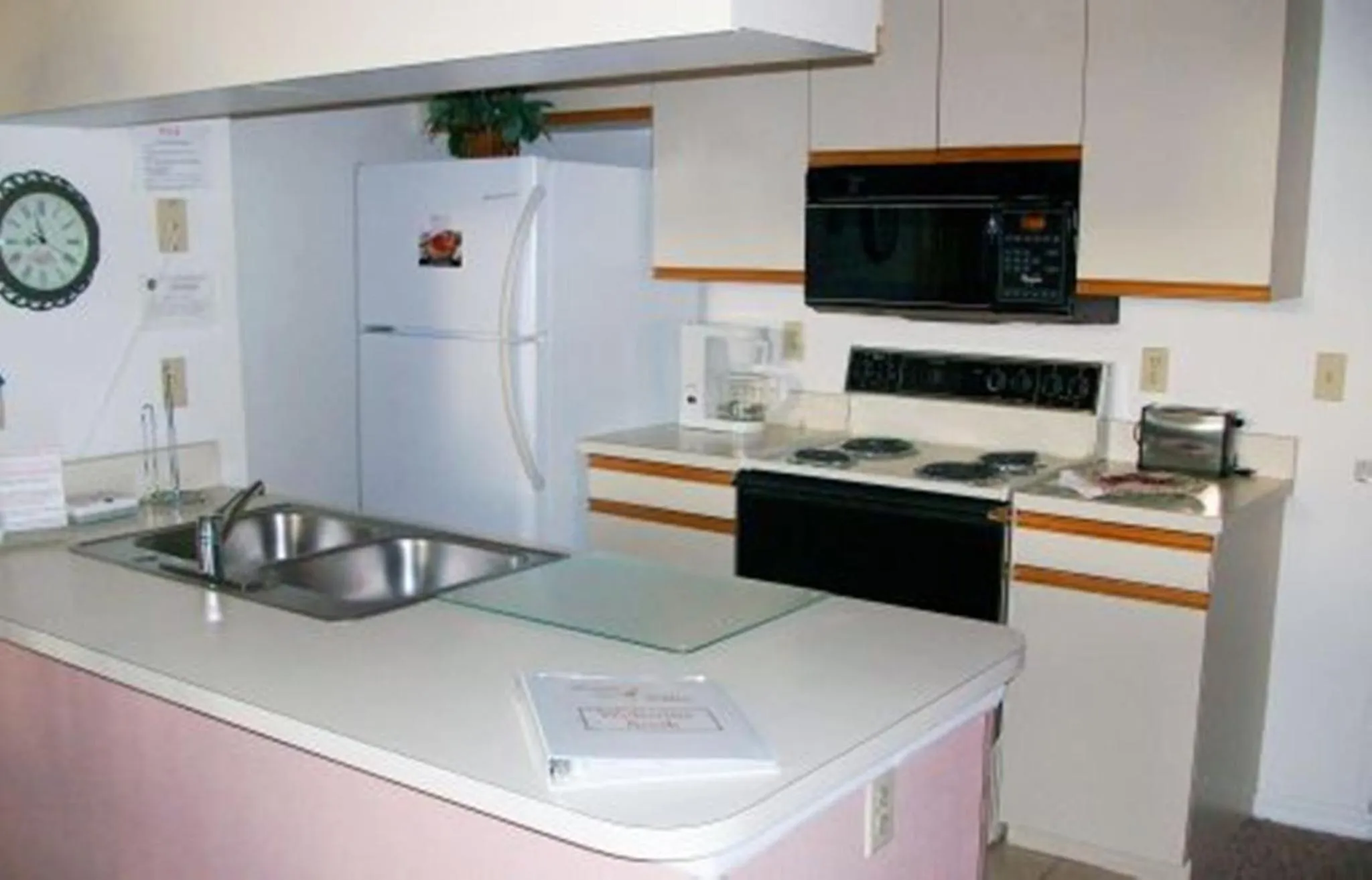 Kitchen or kitchenette in Mickey's Paradise