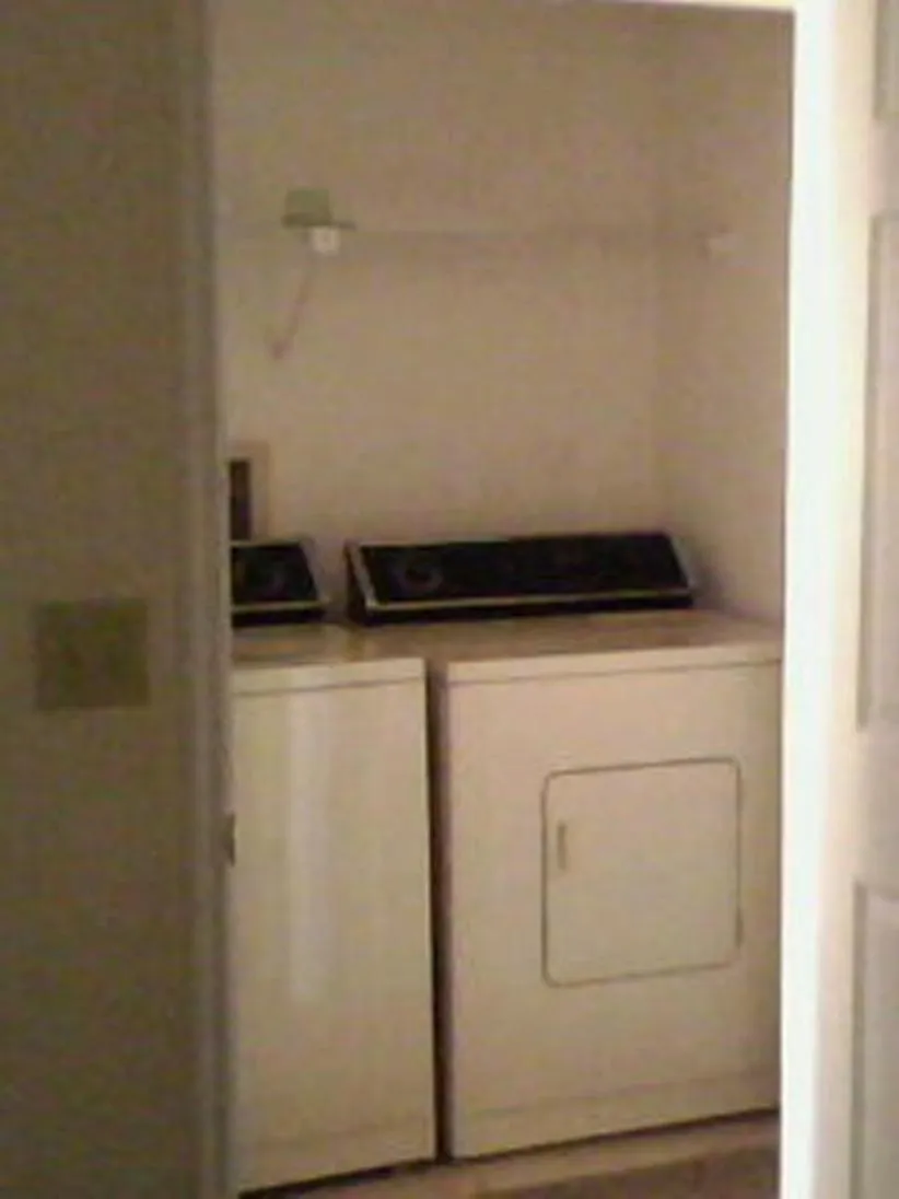 Other in Mickey's Paradise