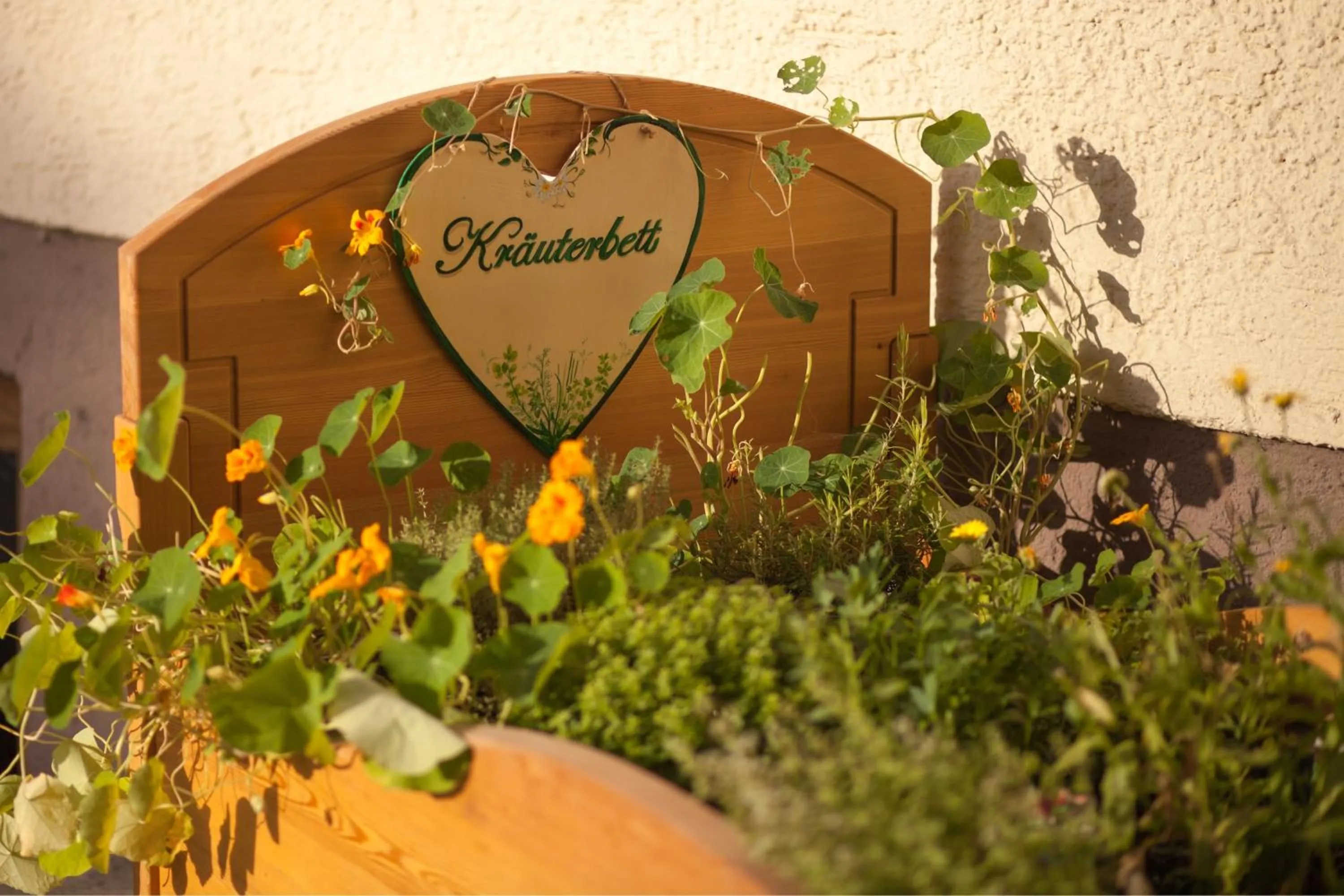Garden in Garten - Hotel Sallerhof