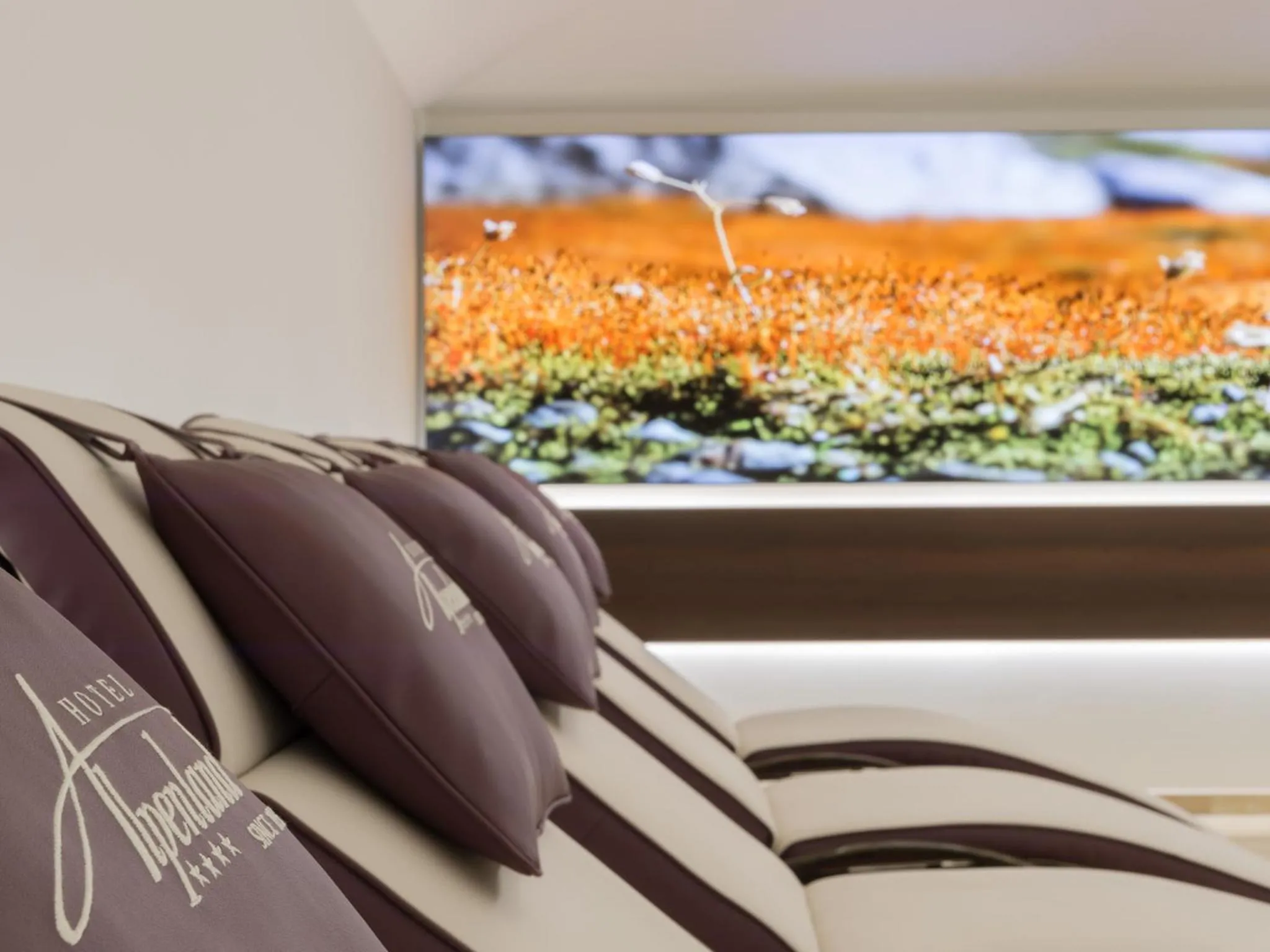 Spa and wellness centre/facilities in Hotel Alpenland