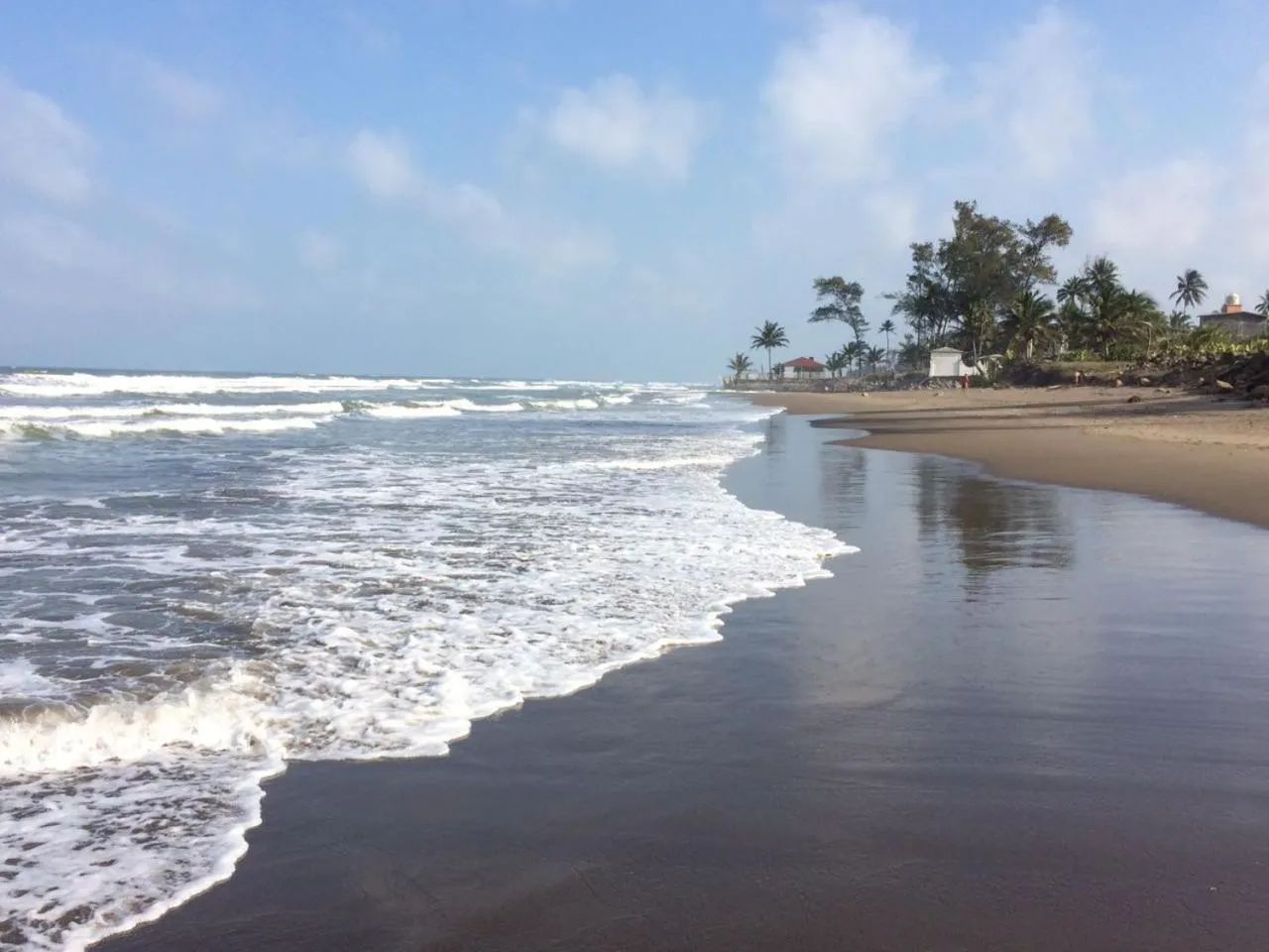 Summer in Eco Coco Loco by Rotamundos