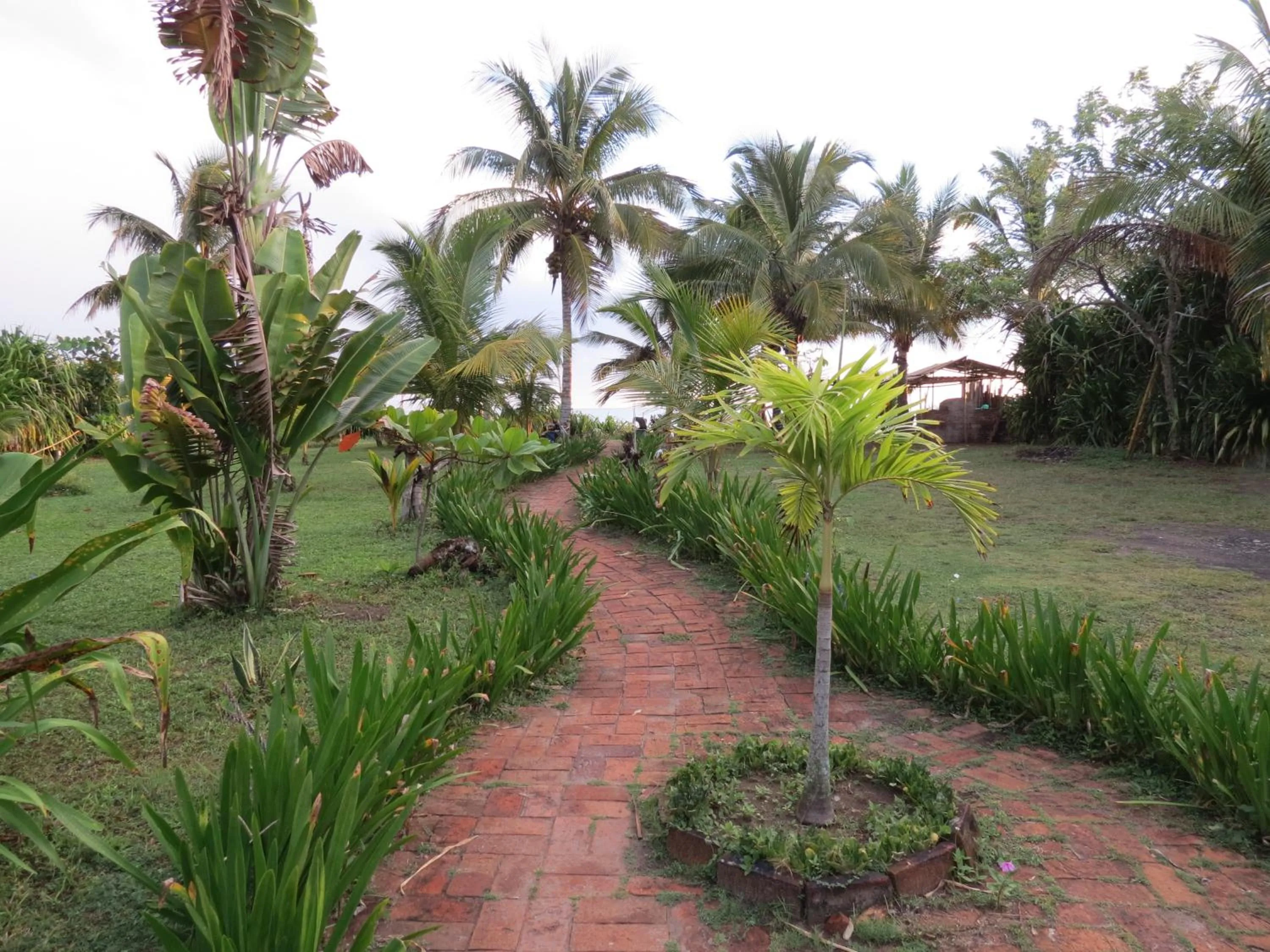 Garden in Eco Coco Loco by Rotamundos