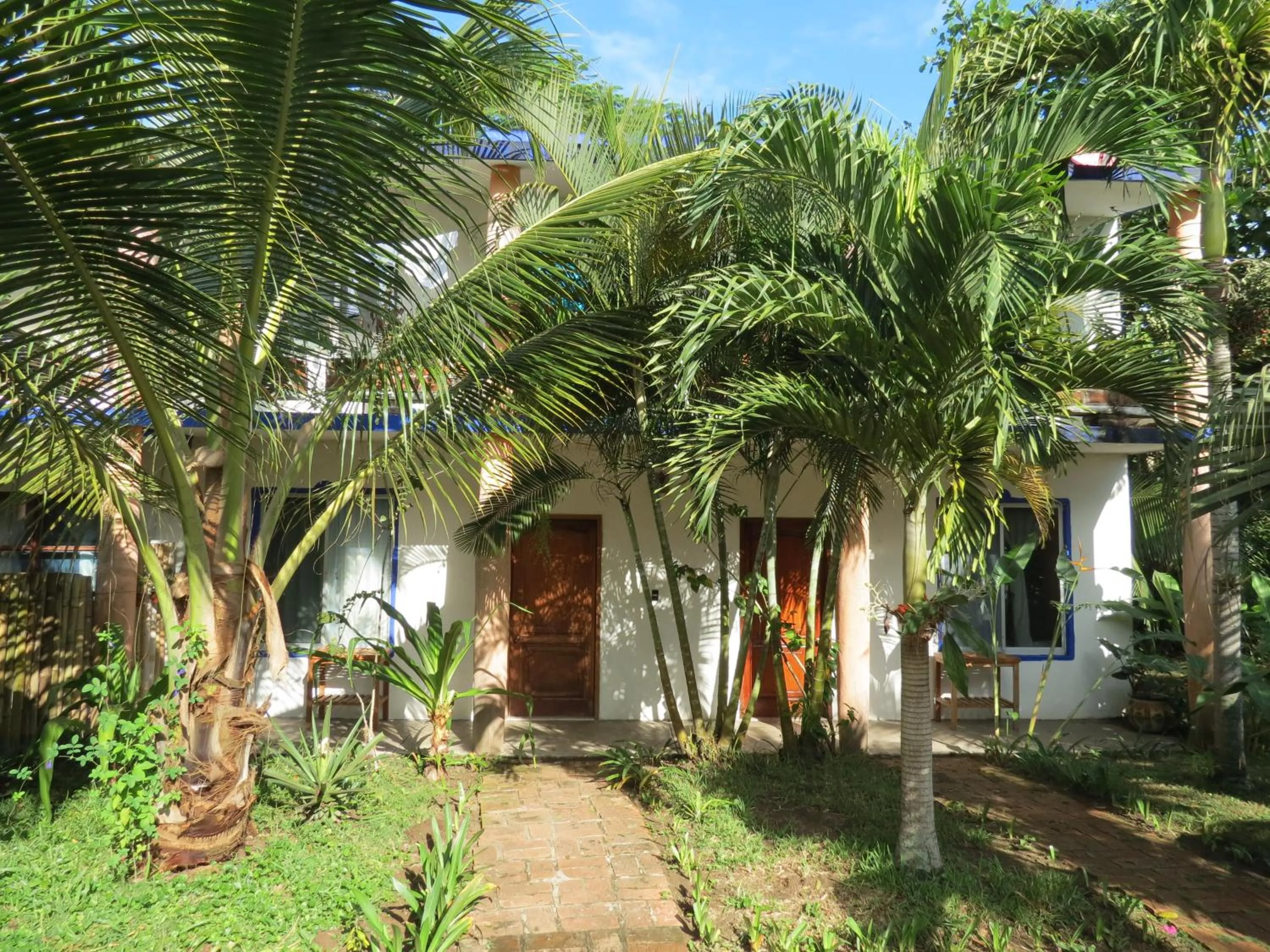 Garden in Eco Coco Loco by Rotamundos