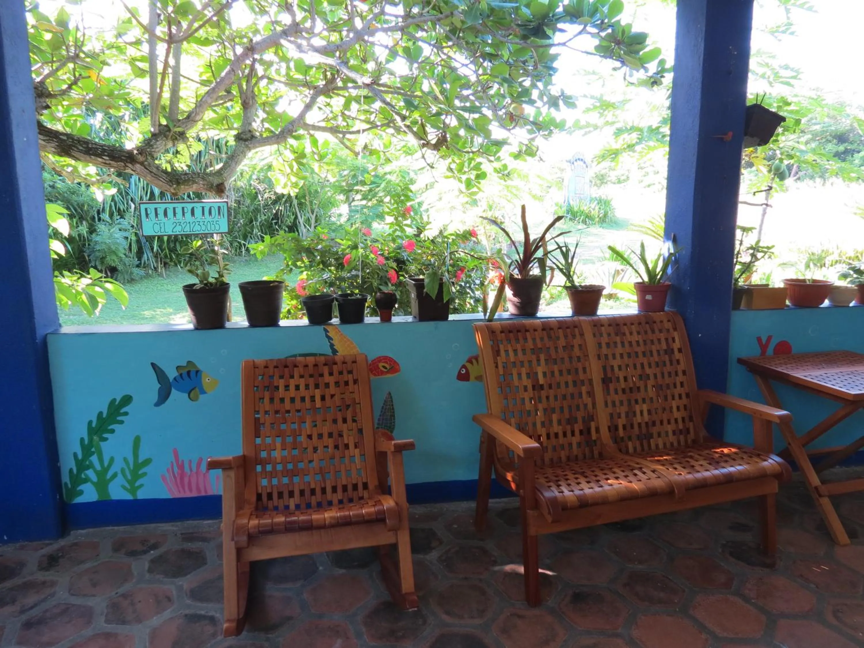 Day in Eco Coco Loco by Rotamundos