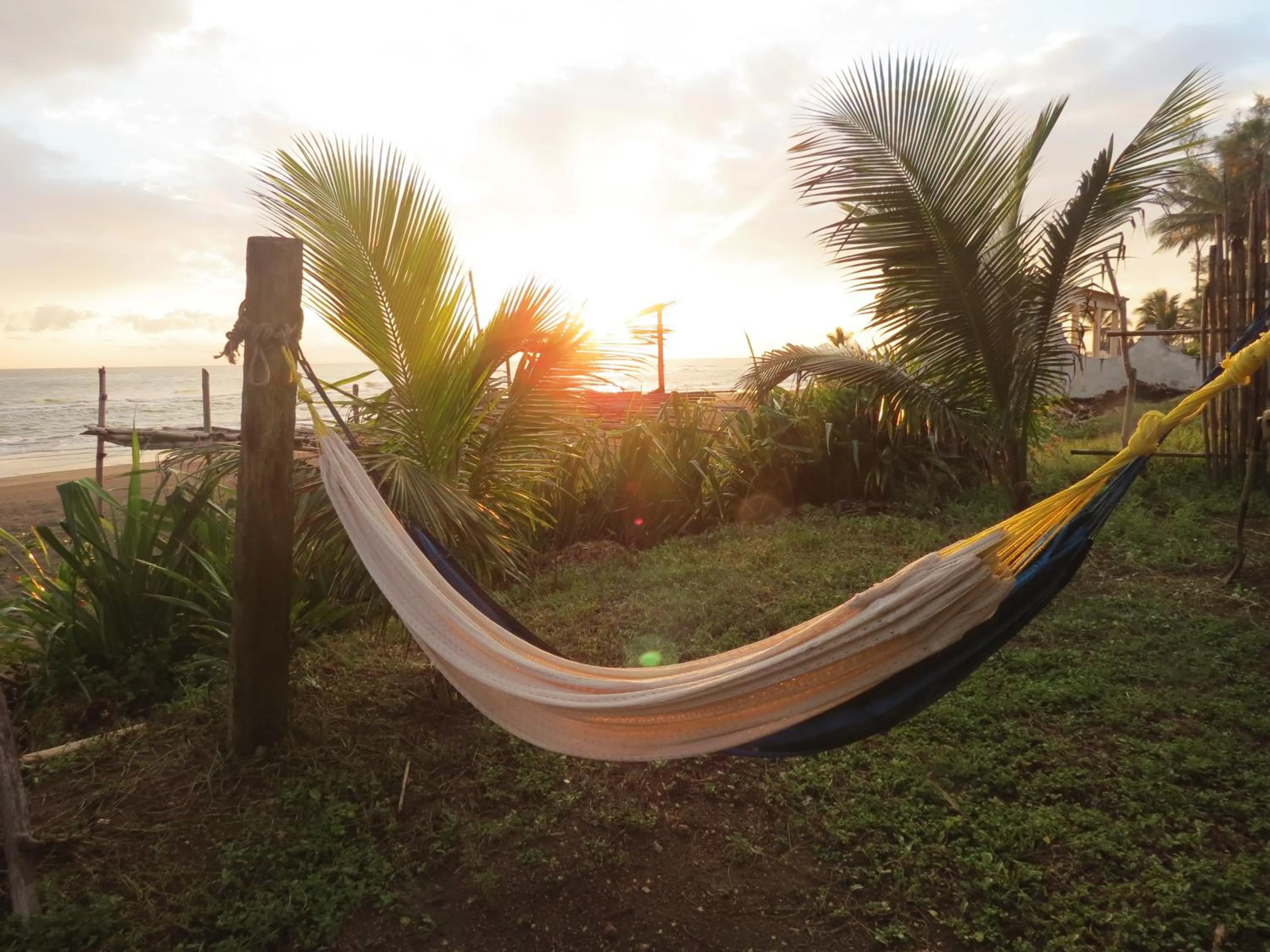 Garden view in Eco Coco Loco by Rotamundos