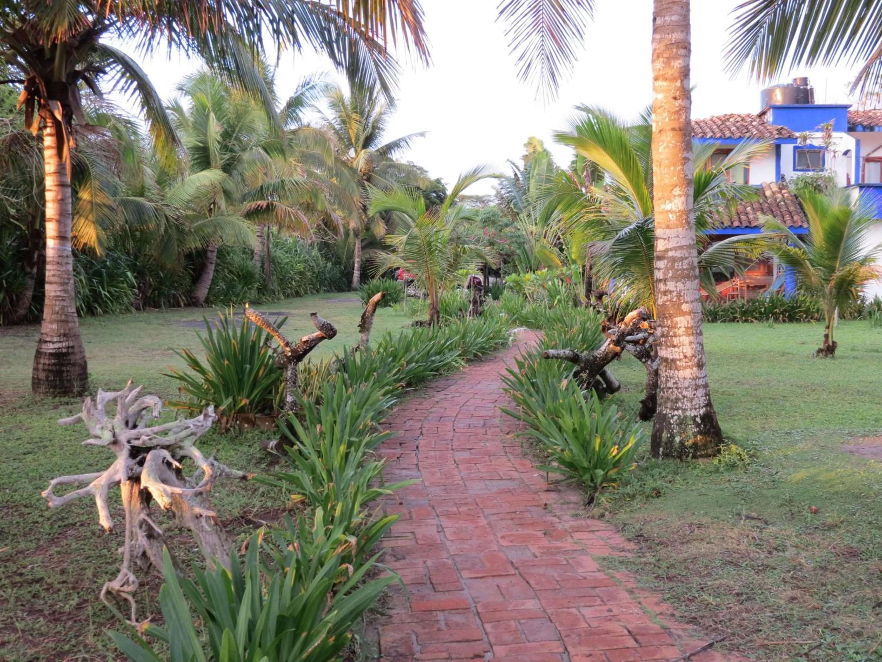 Garden view in Eco Coco Loco by Rotamundos