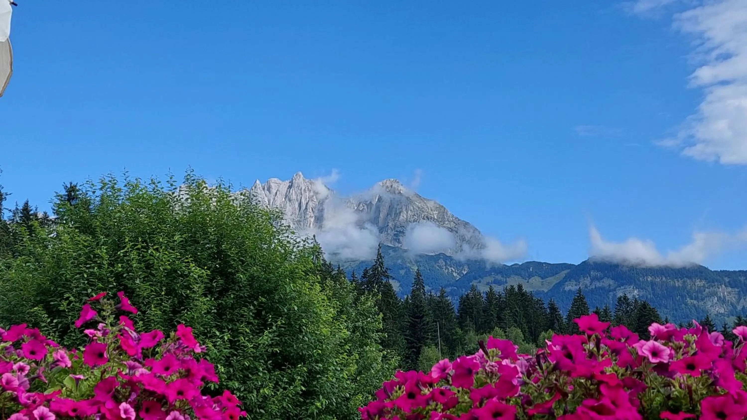 Garden in Gartenhotel Rosenhof bei Kitzbühel