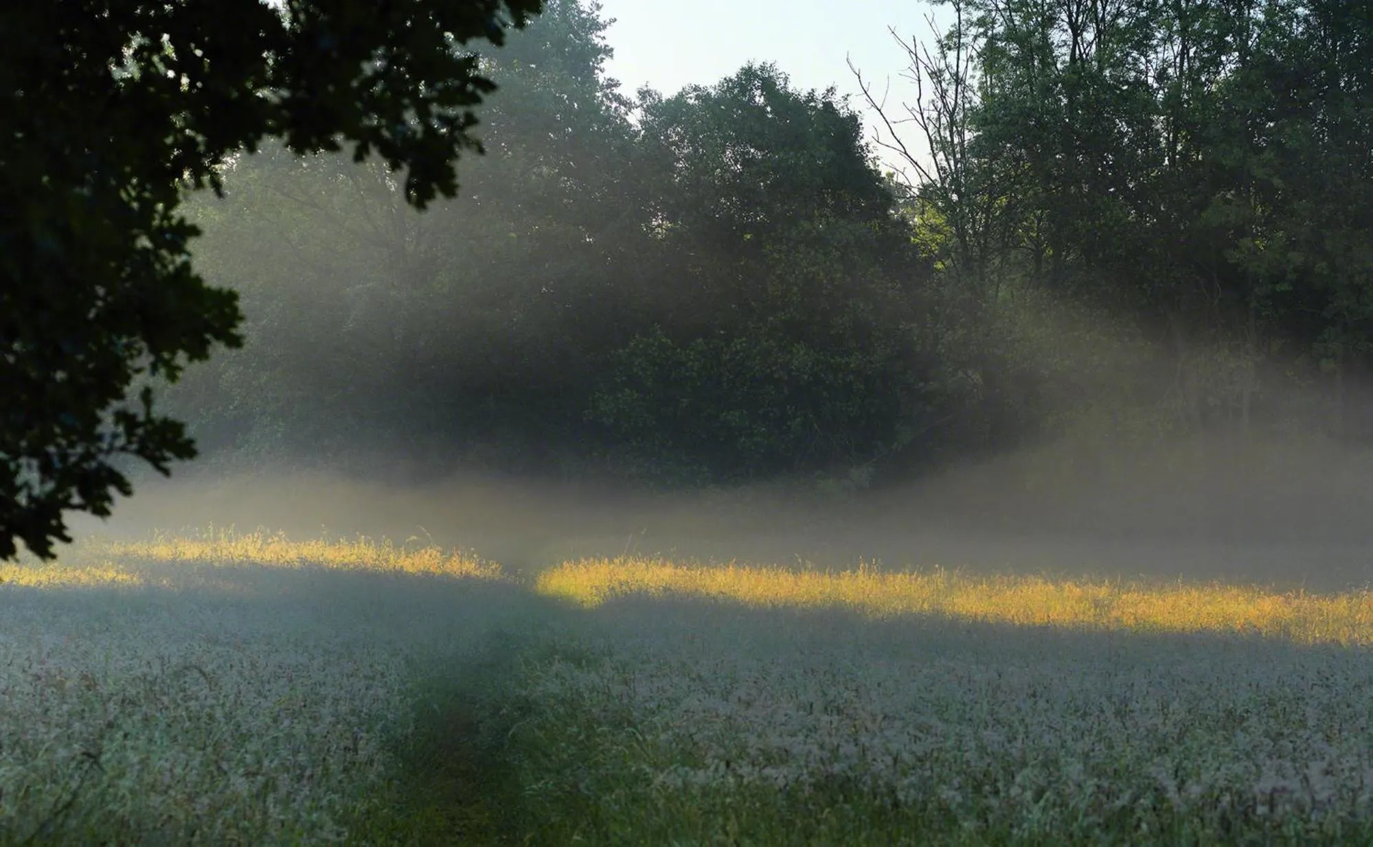 Staff in Parkhotel Wienburg Münster