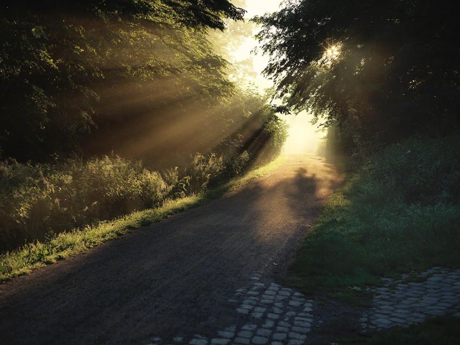 Nearby landmark in Parkhotel Wienburg Münster