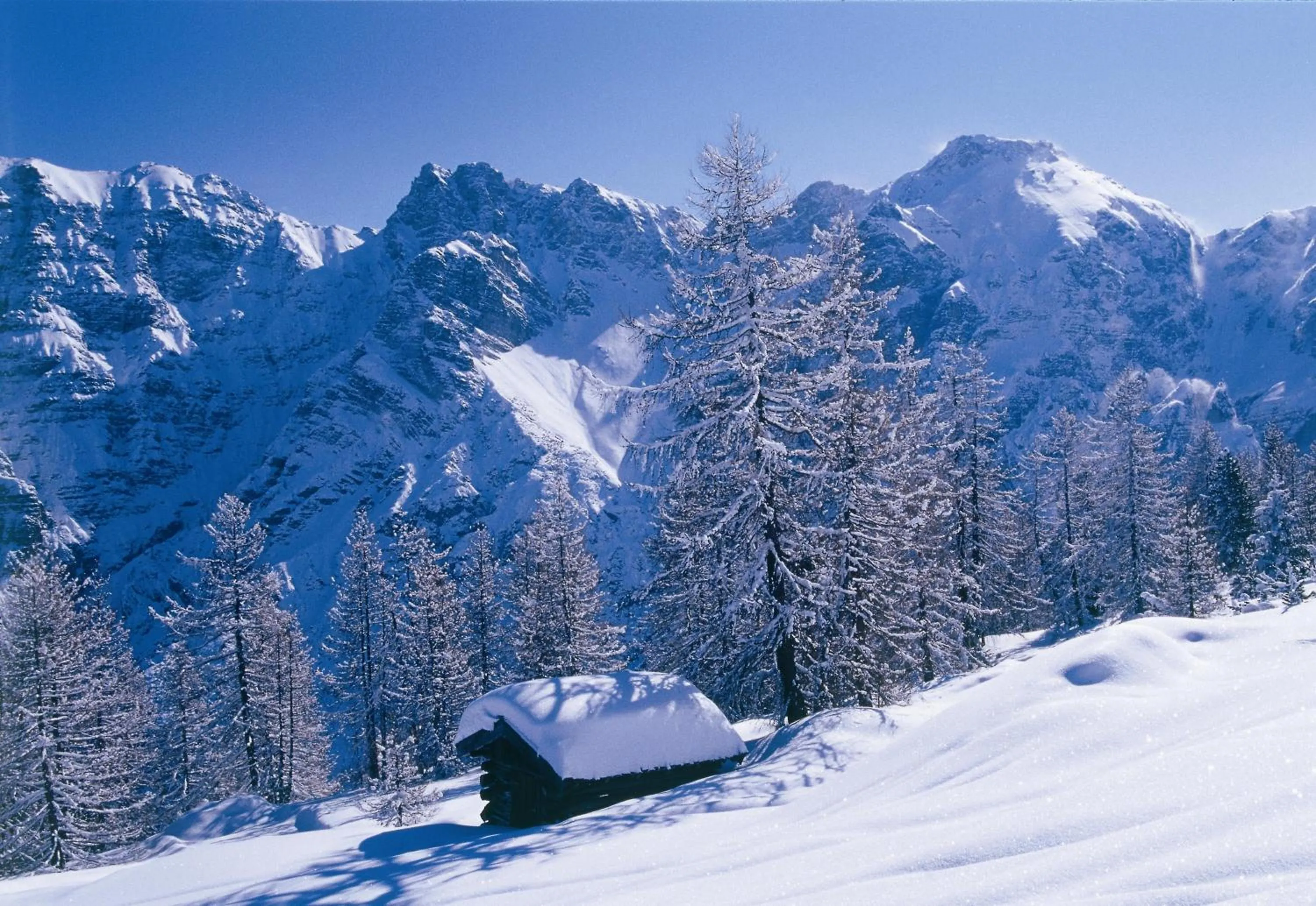 Natural landscape in Appartement Pavillon