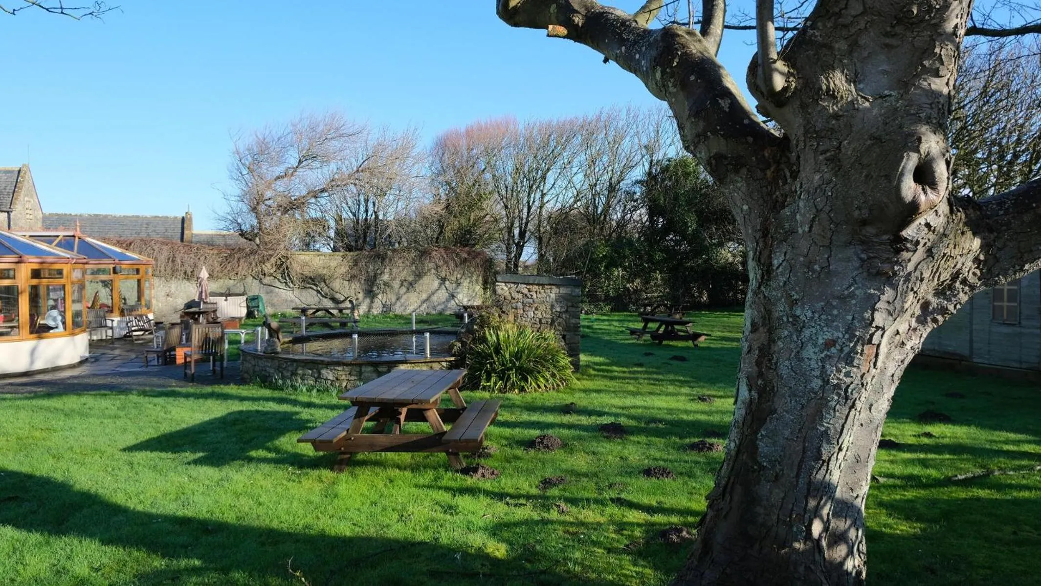 Garden in The Old Rectory - Brean