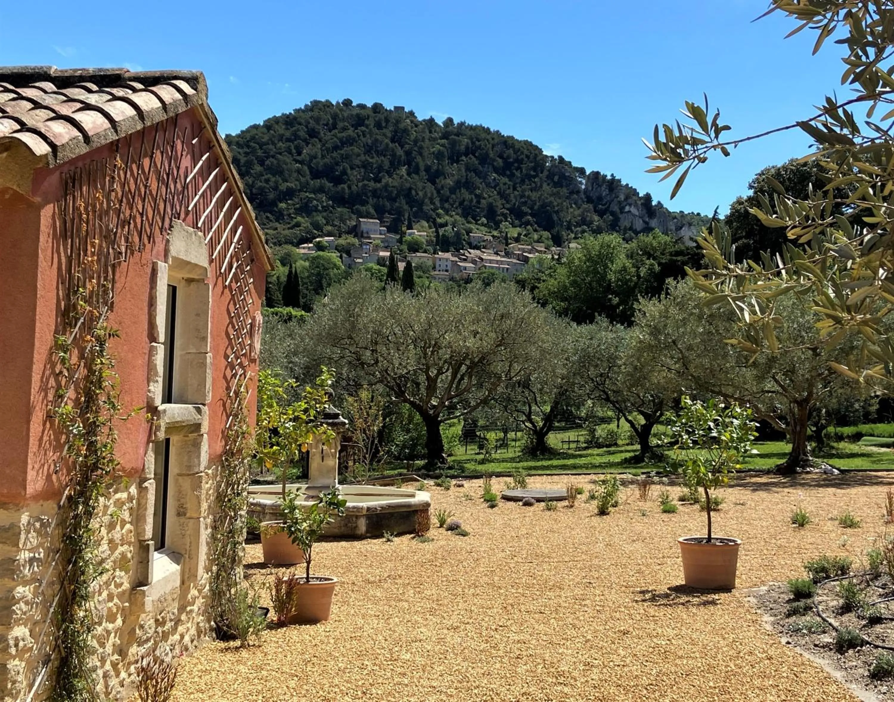 Garden in Le Mas Carré Séguret
