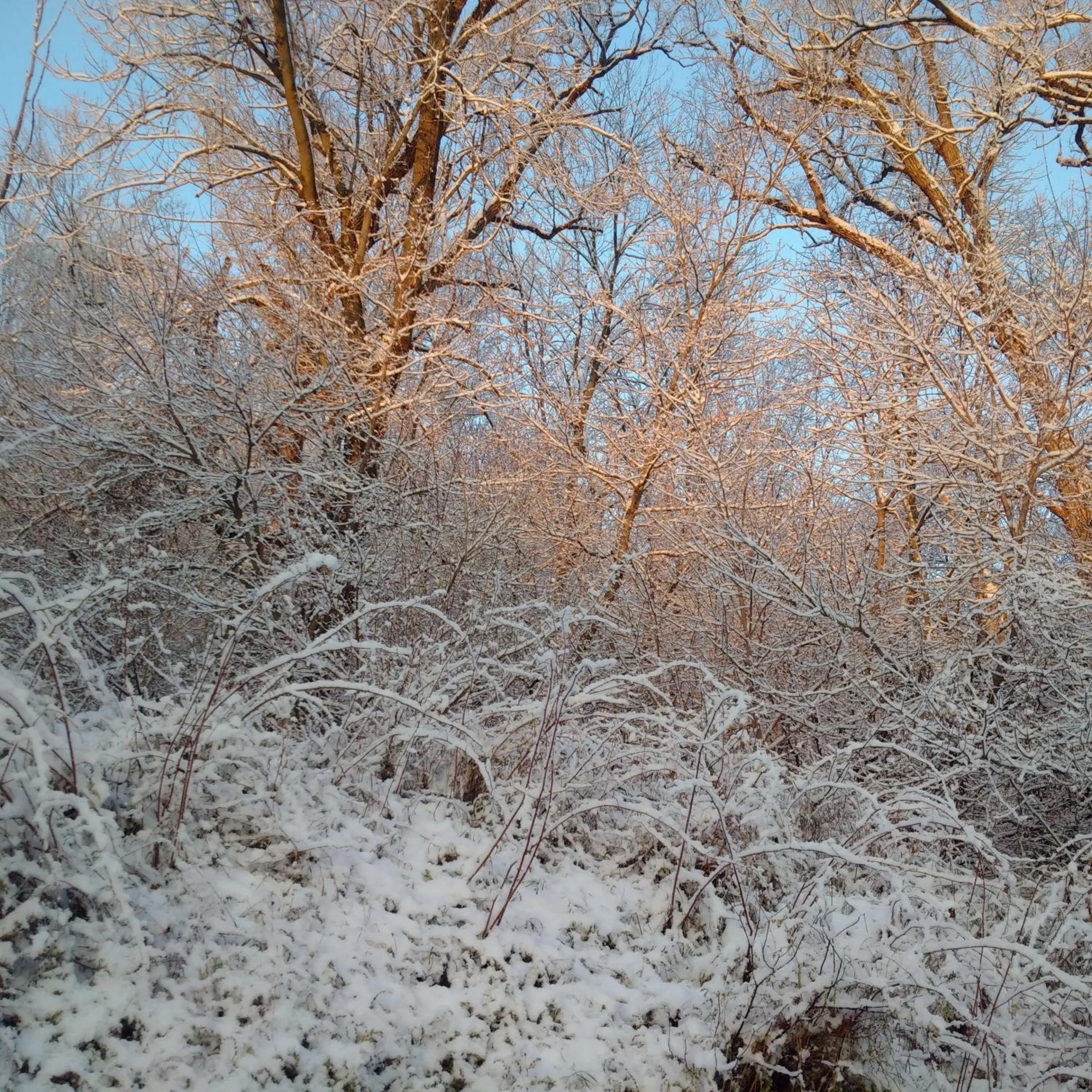 View (from property/room) in Our Valley View Bed & Breakfast