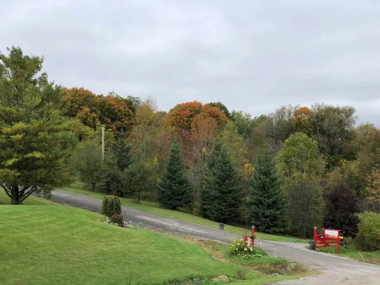 Street view in Our Valley View Bed & Breakfast