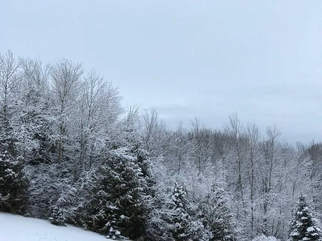 View (from property/room) in Our Valley View Bed & Breakfast