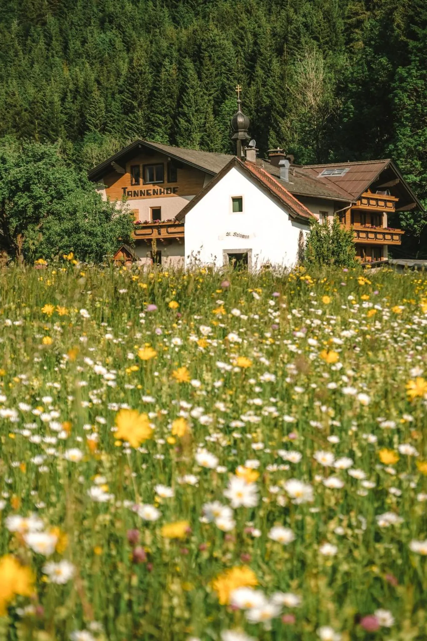 Property building in Der Tannenhof