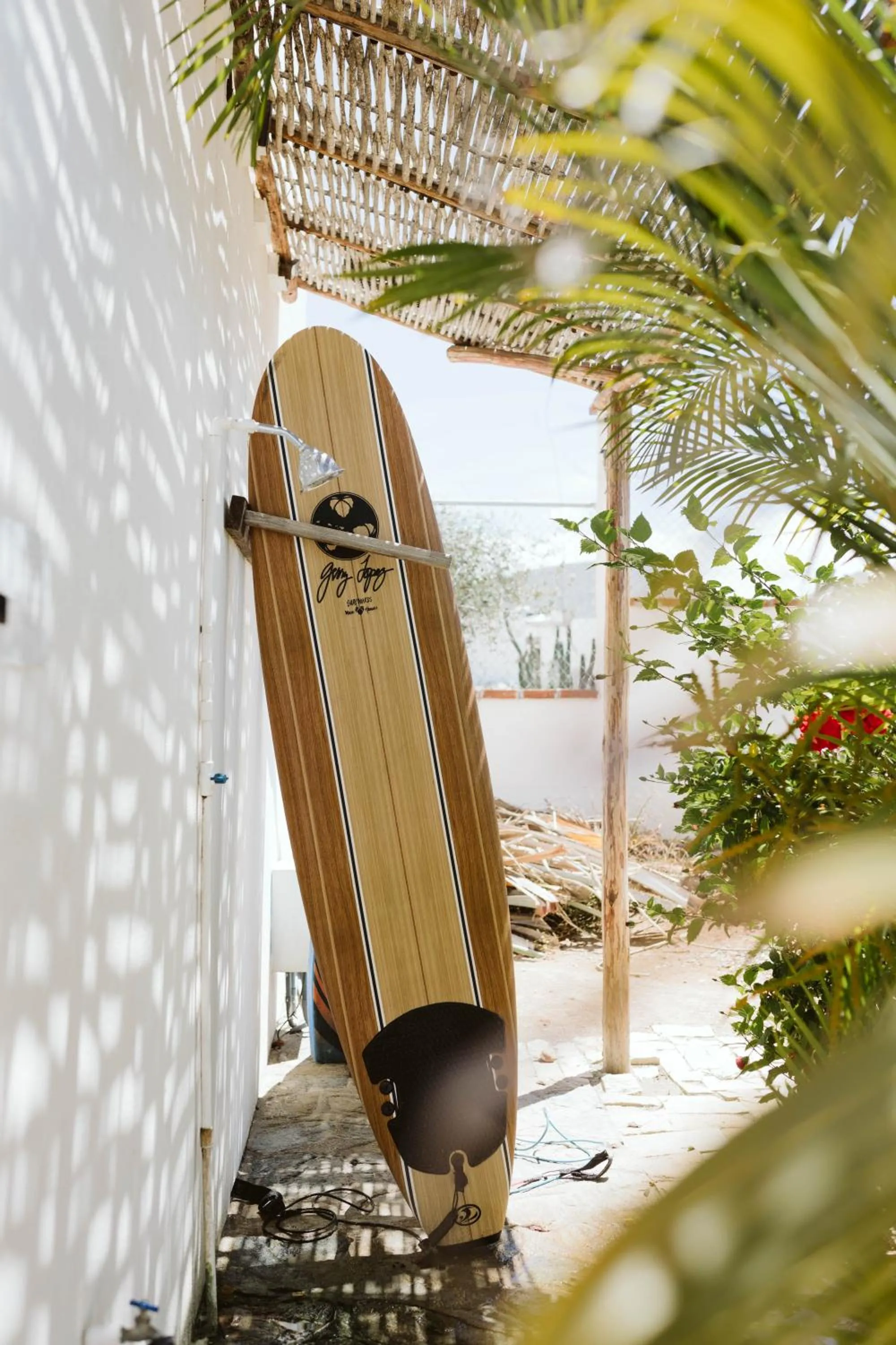 Activities in Olas de Cerritos