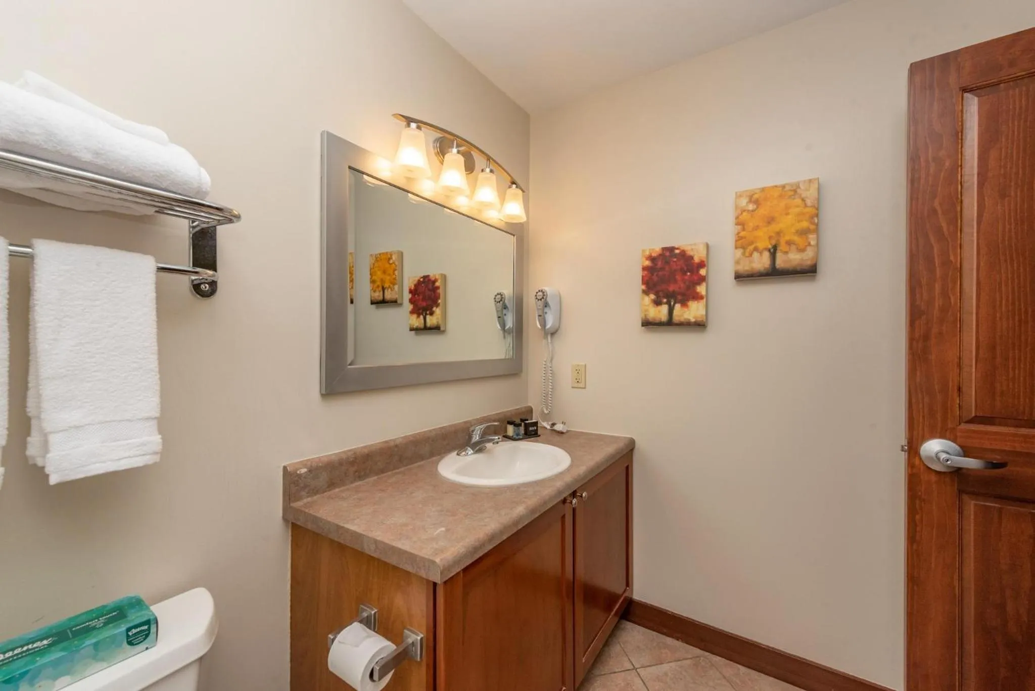 A205 One Bedroom Lake View